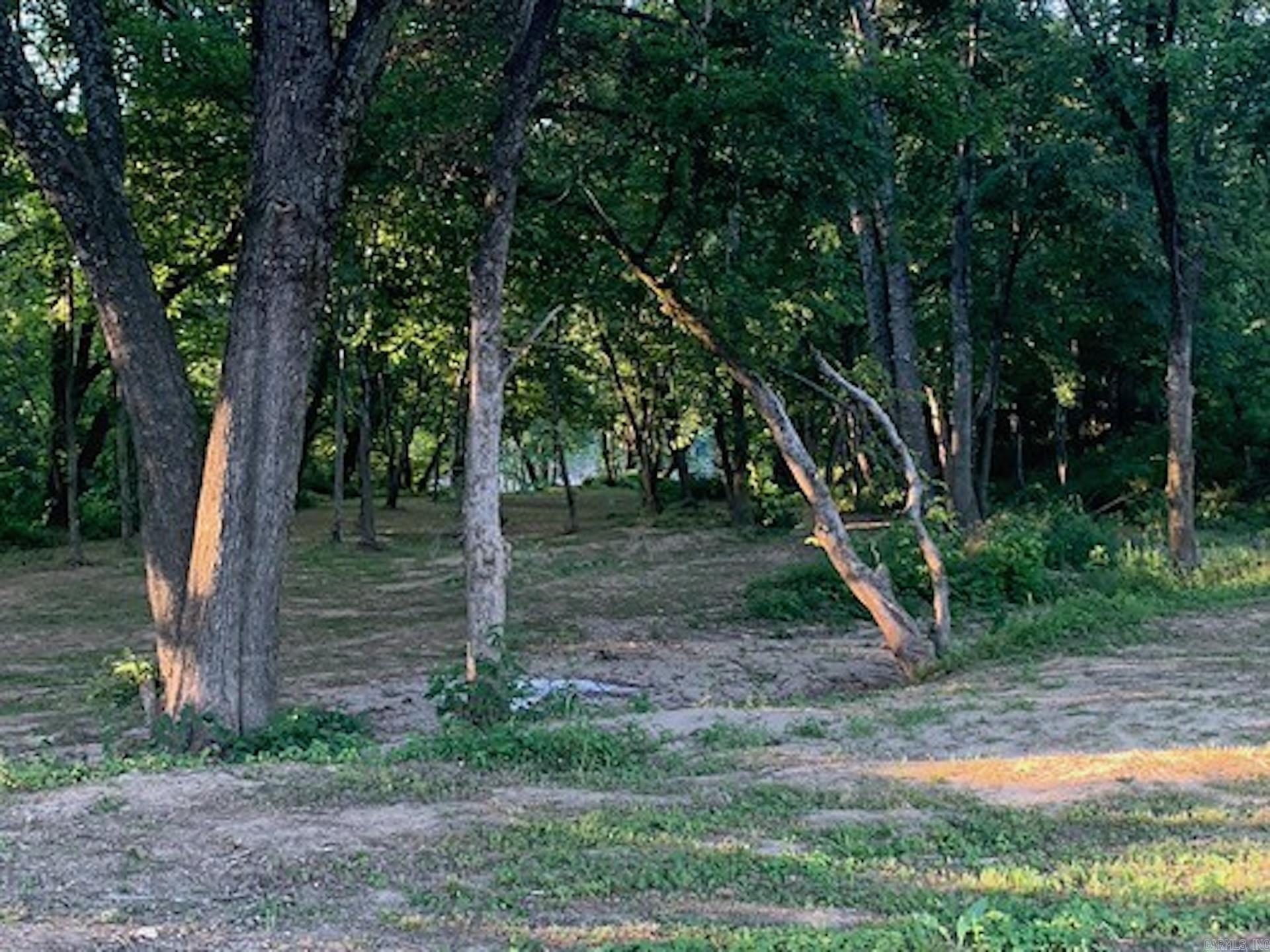 40 Shepards Glen  Oden, AR