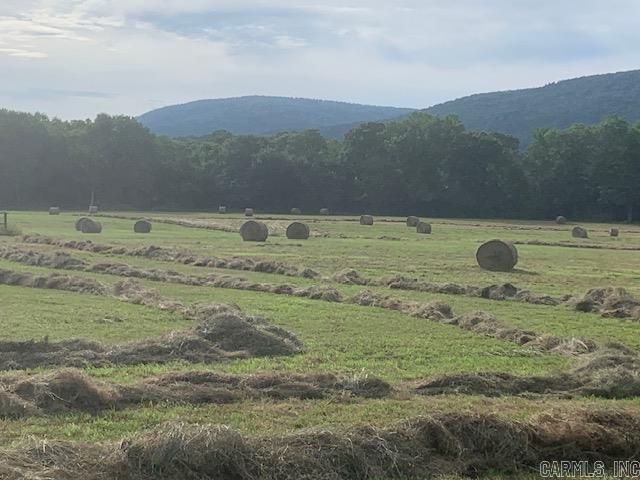 40 Shepards Glen  Oden, AR