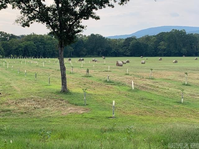 40 Shepards Glen  Oden, AR