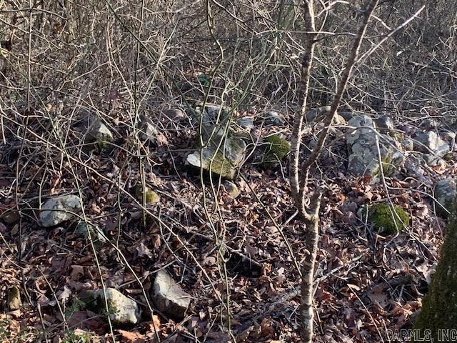 40 Shepards Glen  Oden, AR