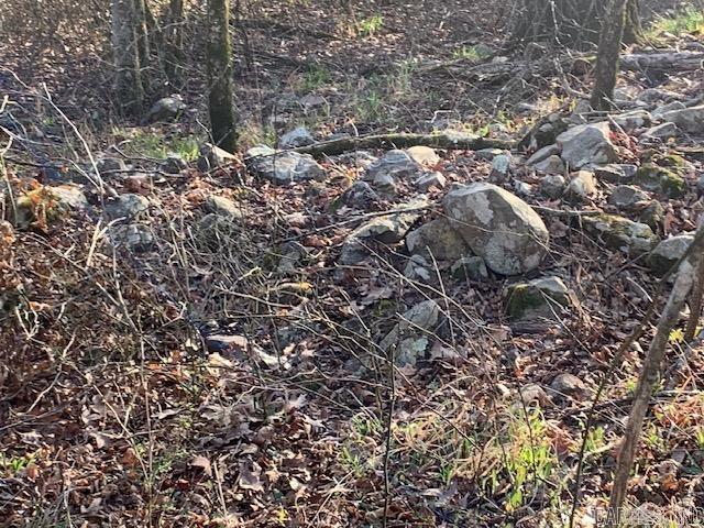 40 Shepards Glen  Oden, AR