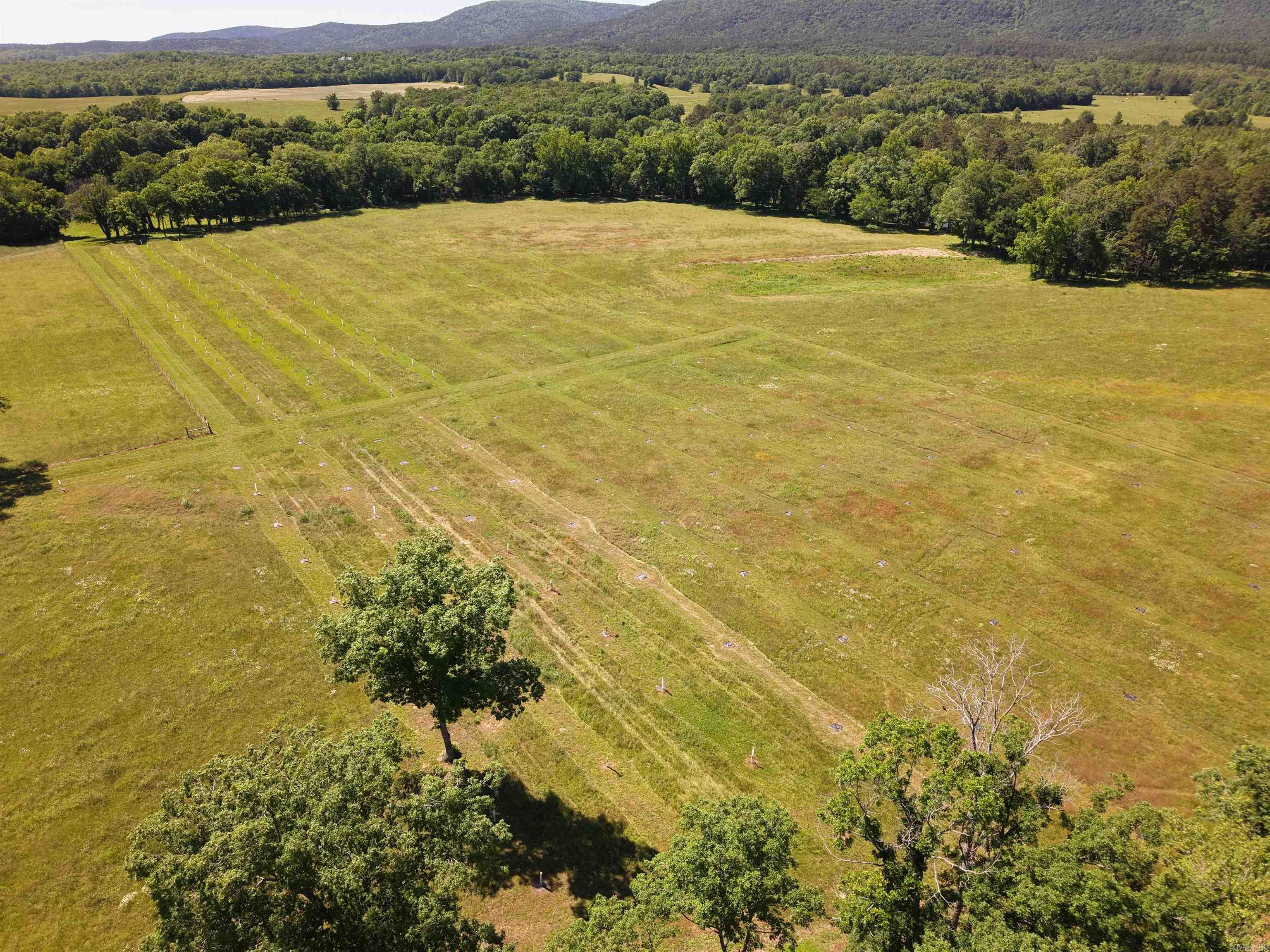 40 Shepards Glen  Oden, AR
