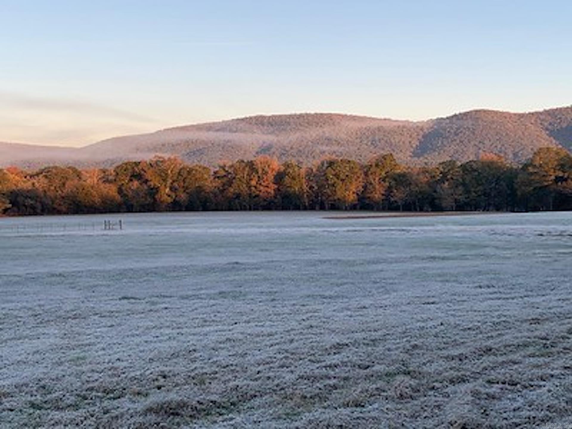 40 Shepards Glen  Oden, AR