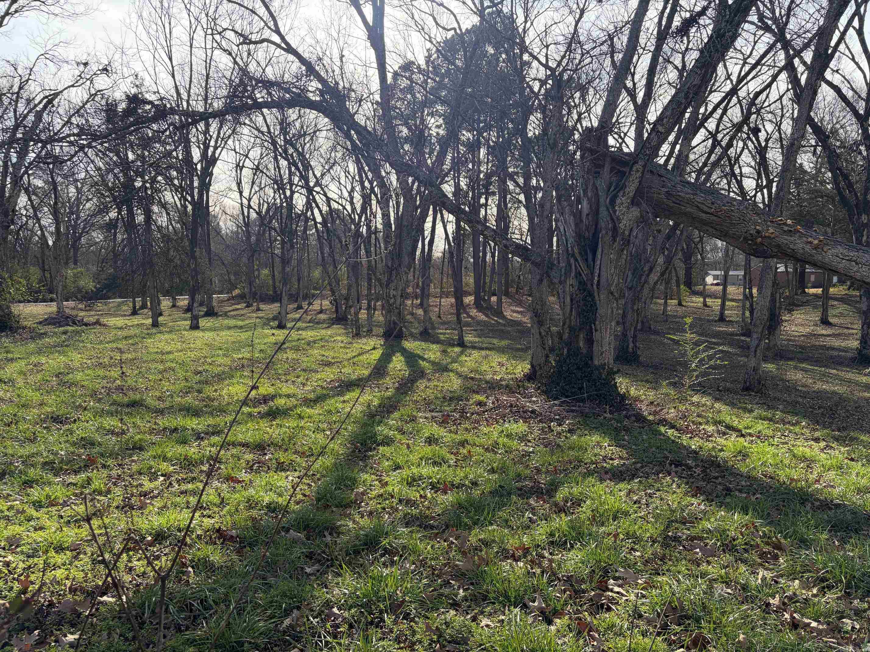 00 Main  West Point, AR