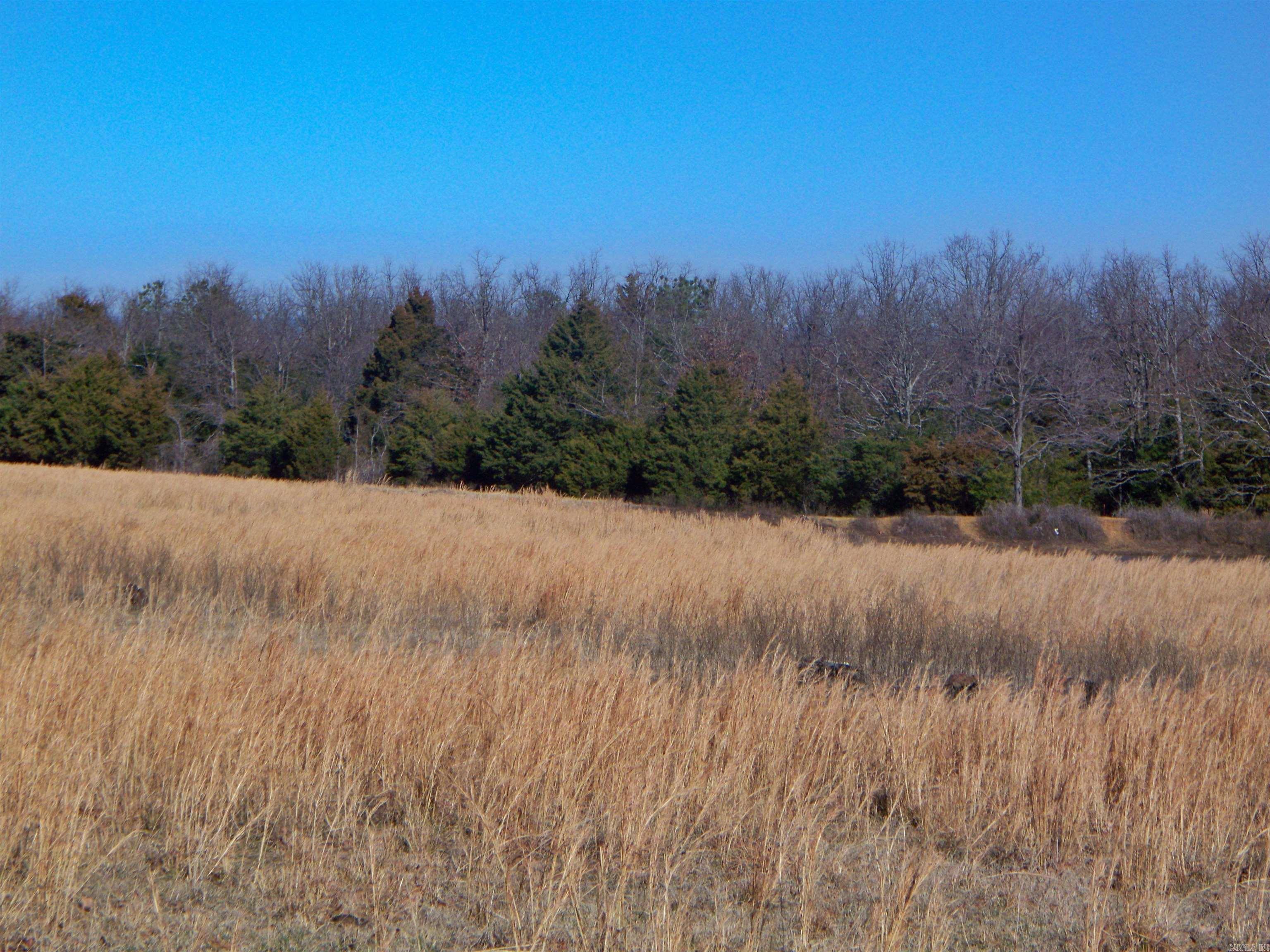 000 Jackson 311  Bradford, AR