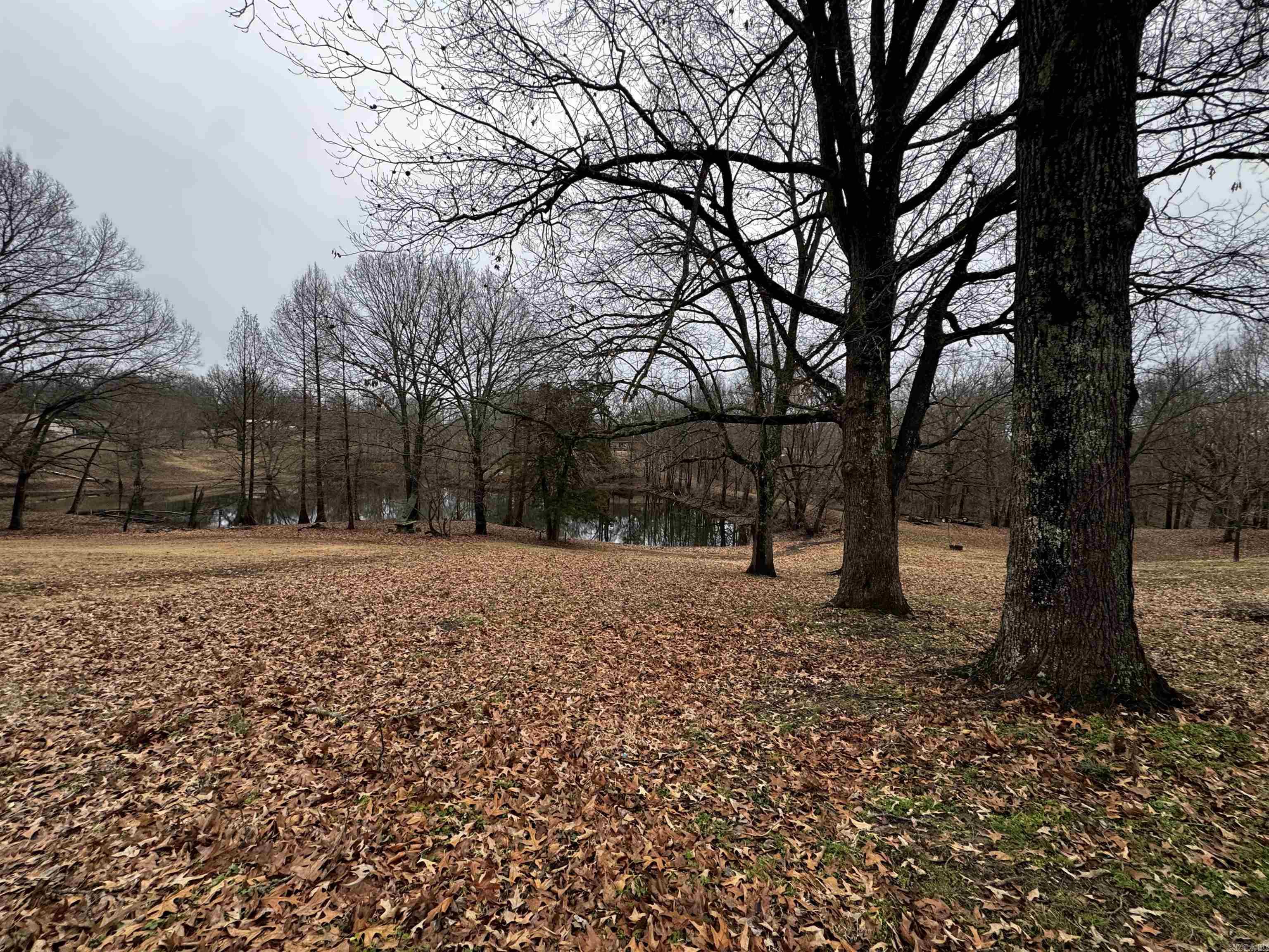 17 CR 726 Wynne, AR 72396-8025