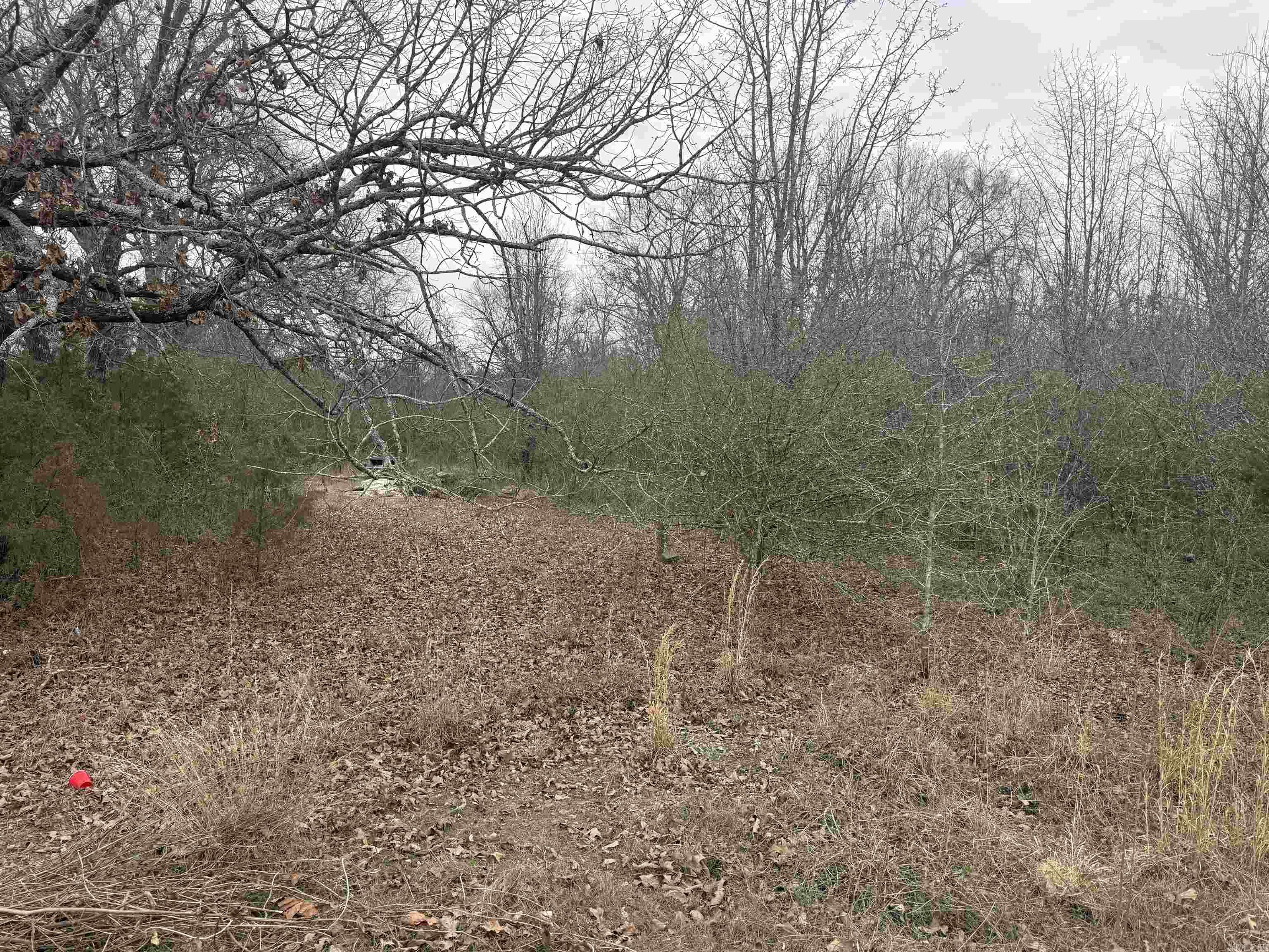 000 Black  Conway, AR