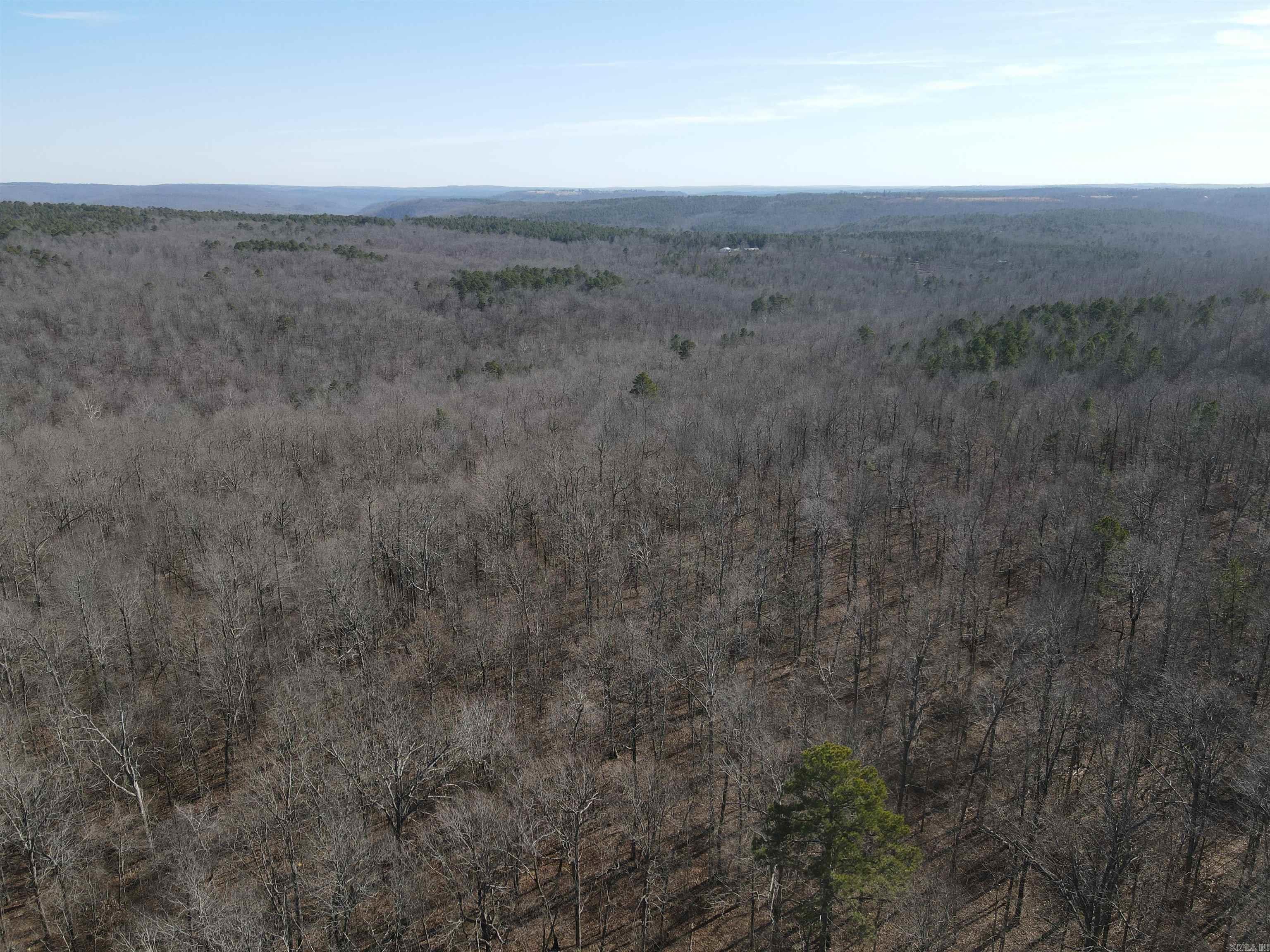 698 Old Hwy. 66  Leslie, AR