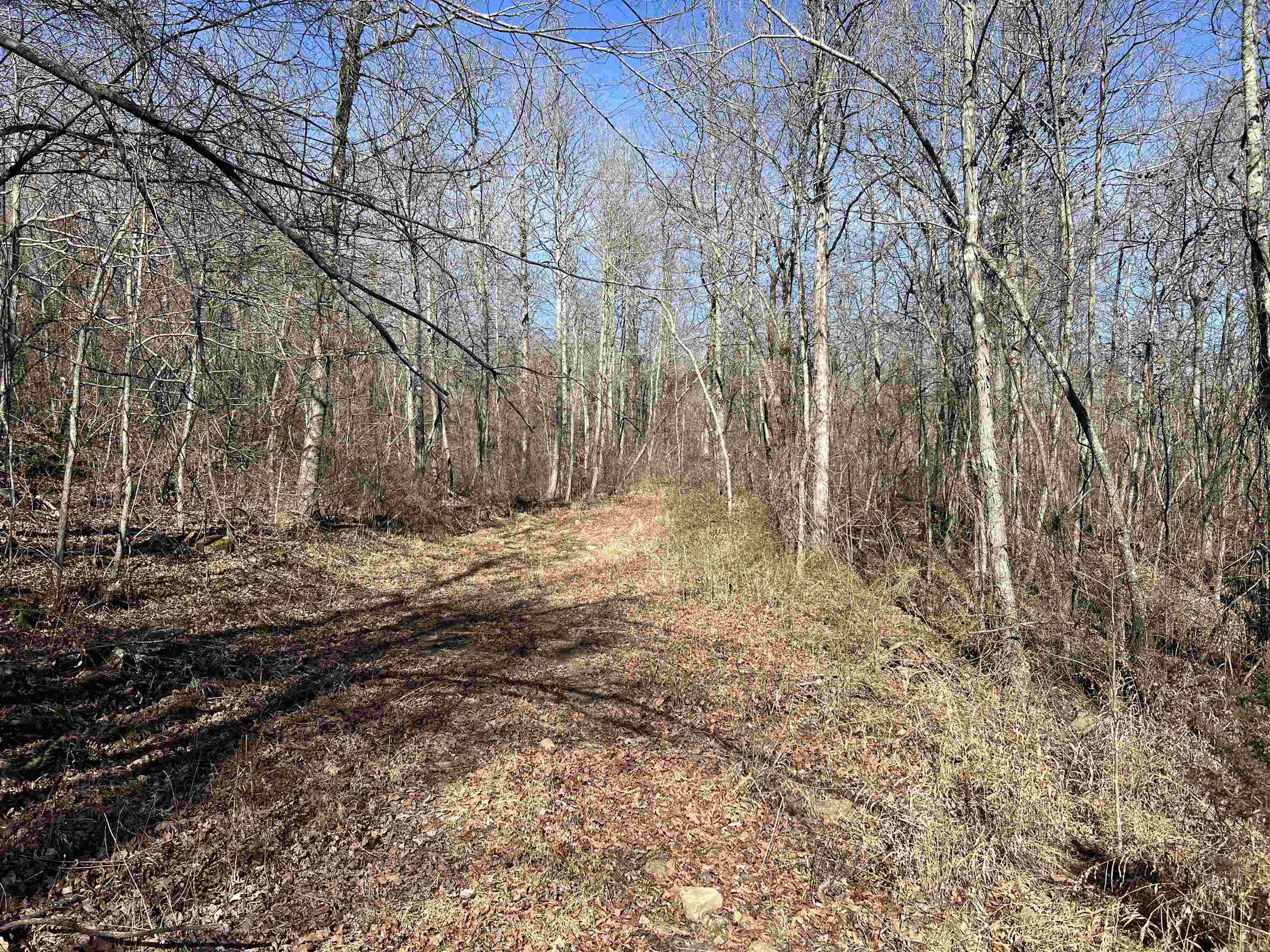 698 Old Hwy. 66  Leslie, AR