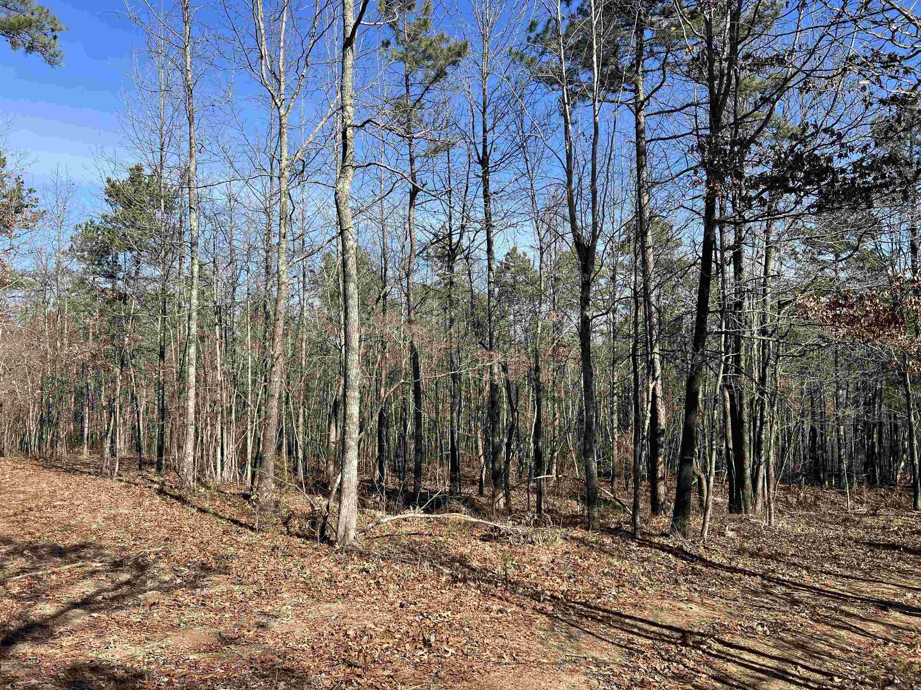 698 Old Hwy. 66  Leslie, AR