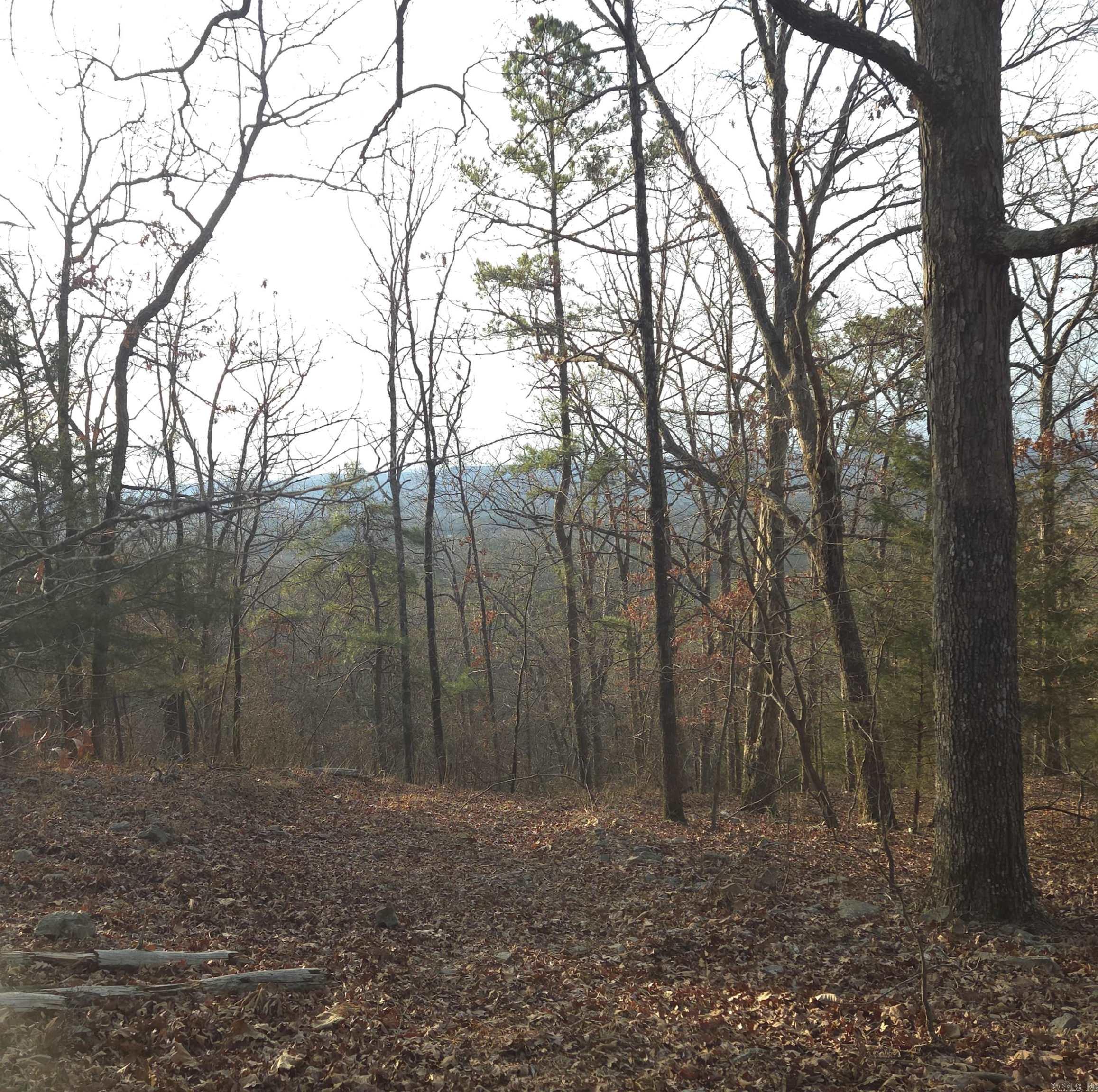 193 Shanendoah Lane  Mena, AR