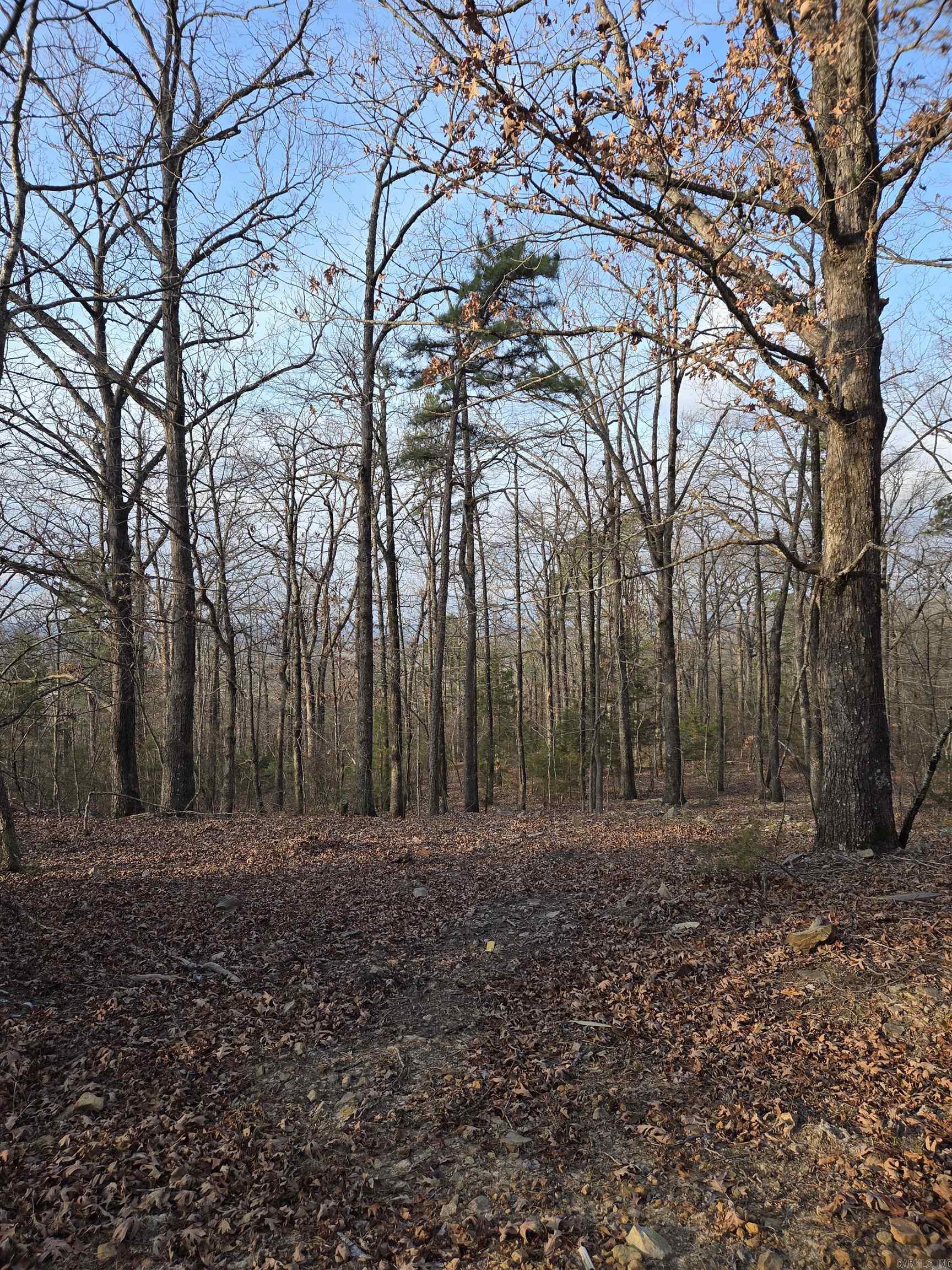 193 Shanendoah Lane  Mena, AR