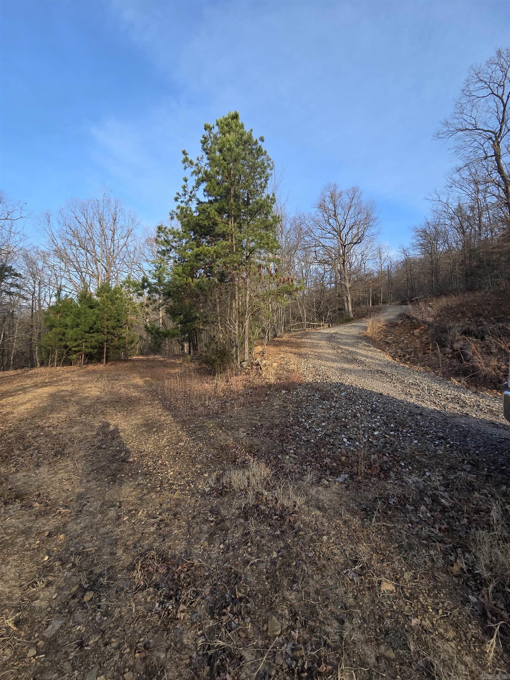 193 Shanendoah Lane  Mena, AR