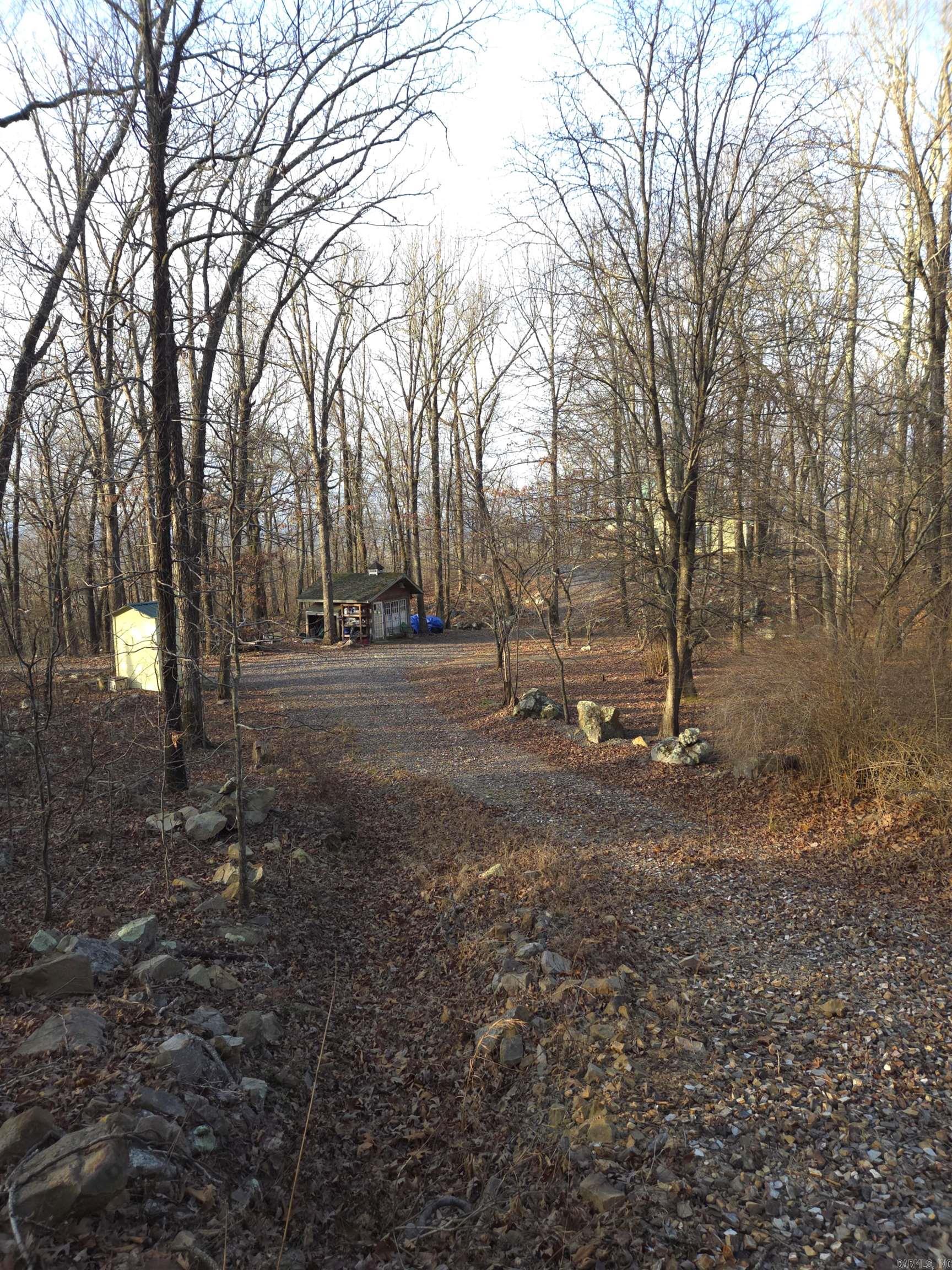 193 Shanendoah Lane  Mena, AR