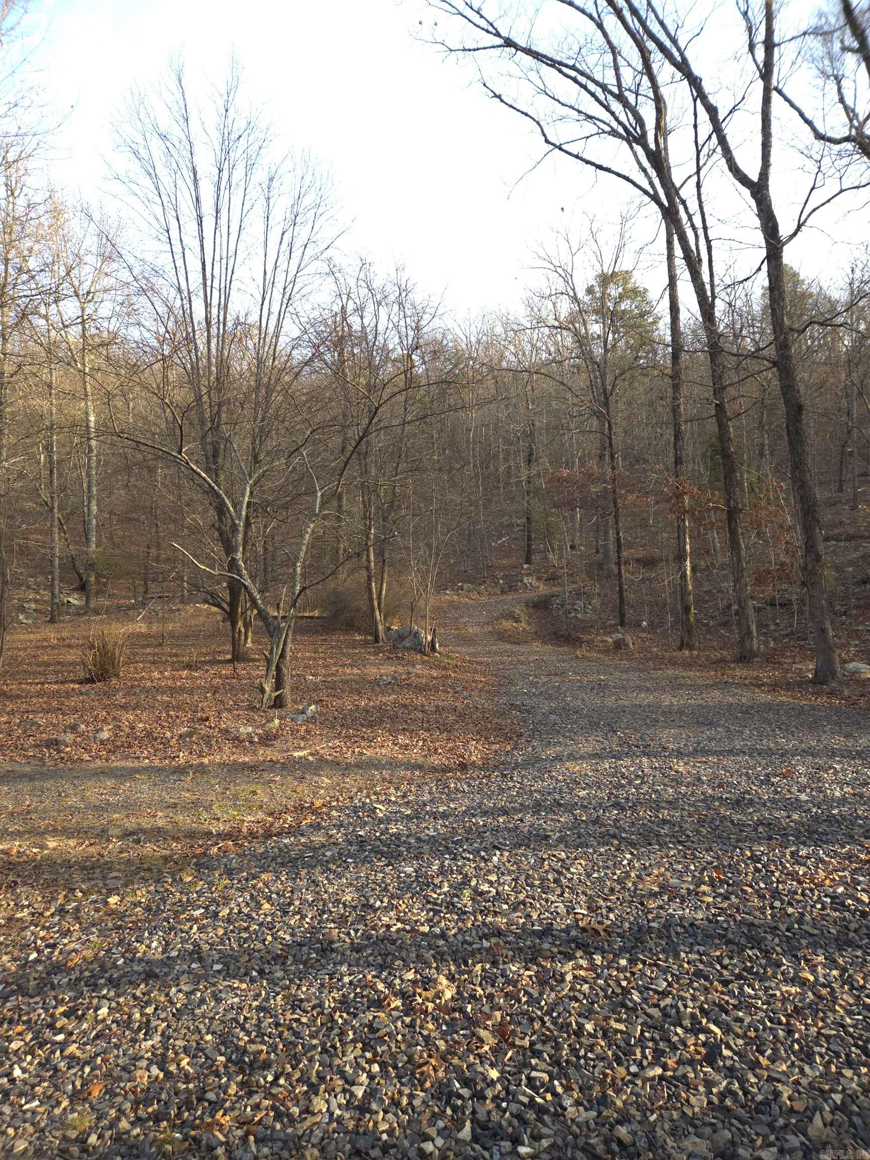 193 Shanendoah Lane  Mena, AR