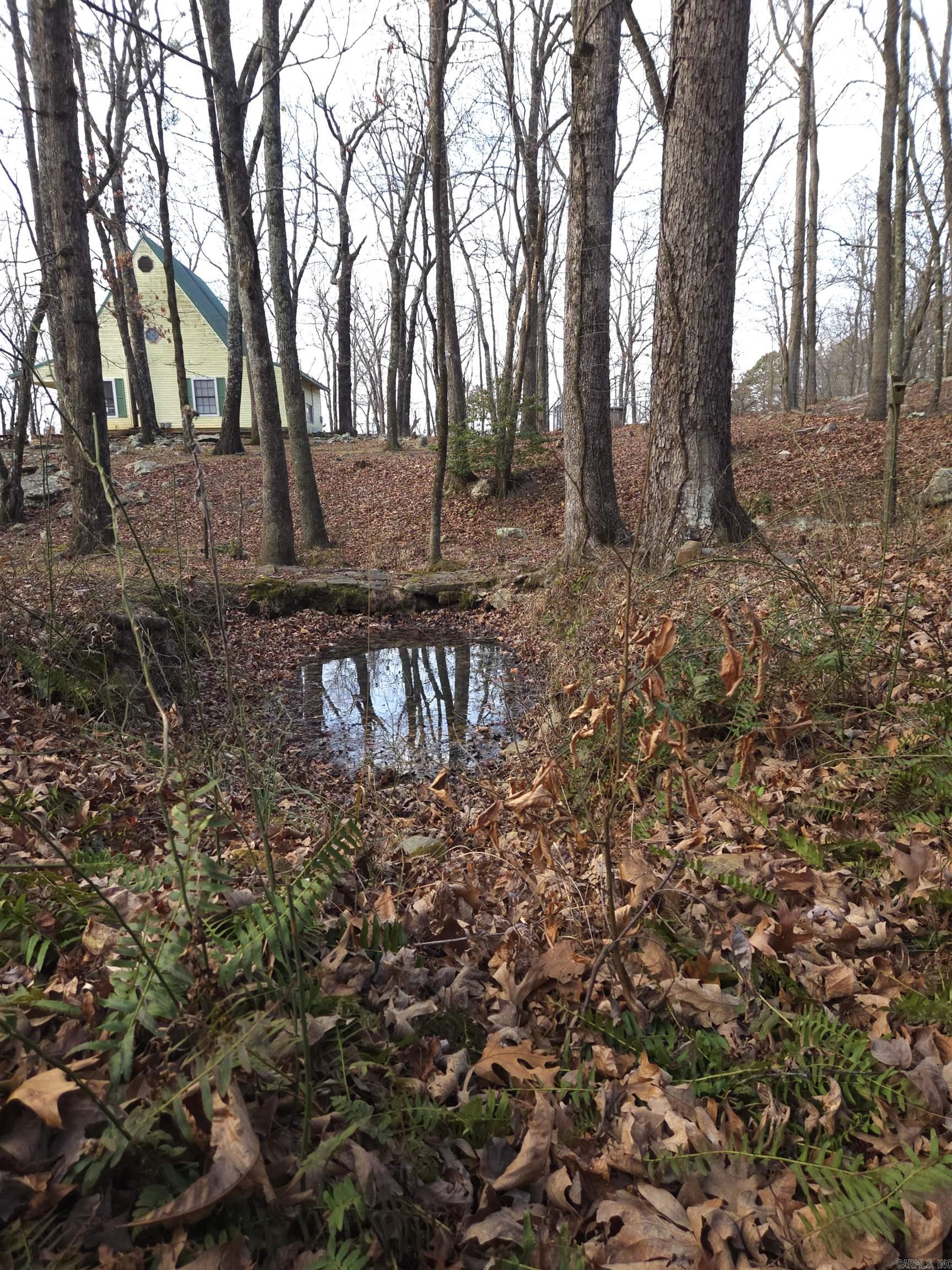 193 Shanendoah Lane  Mena, AR