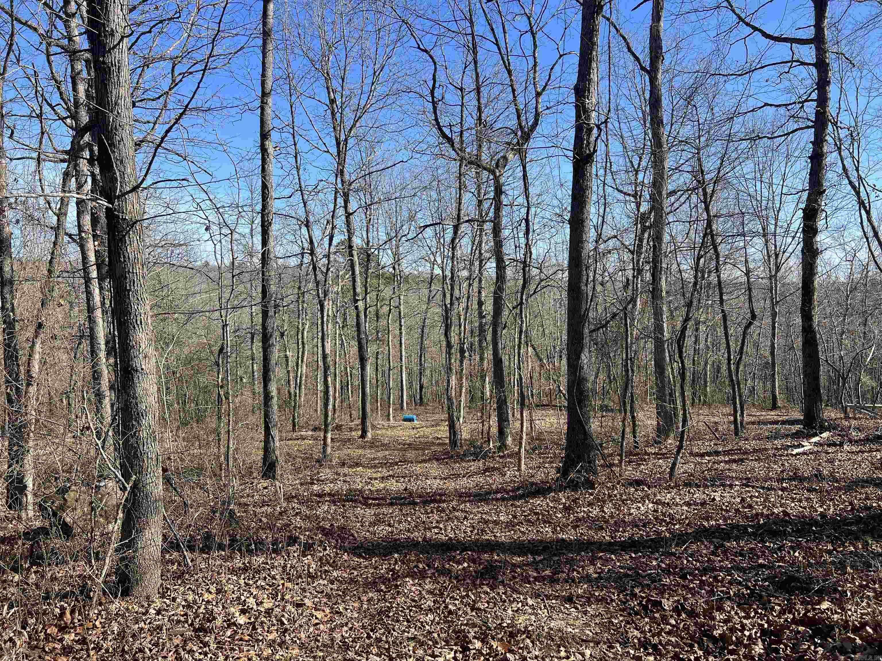 694 Old Highway 66  Leslie, AR