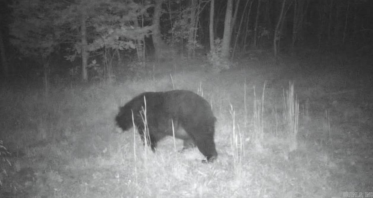 694 Old Highway 66  Leslie, AR