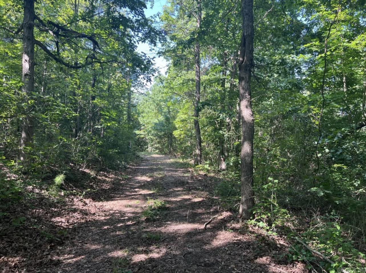 694 Old Highway 66  Leslie, AR