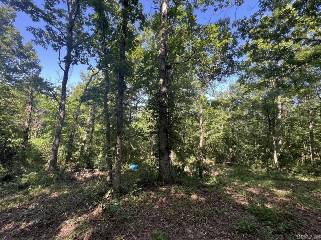 694 Old Highway 66  Leslie, AR