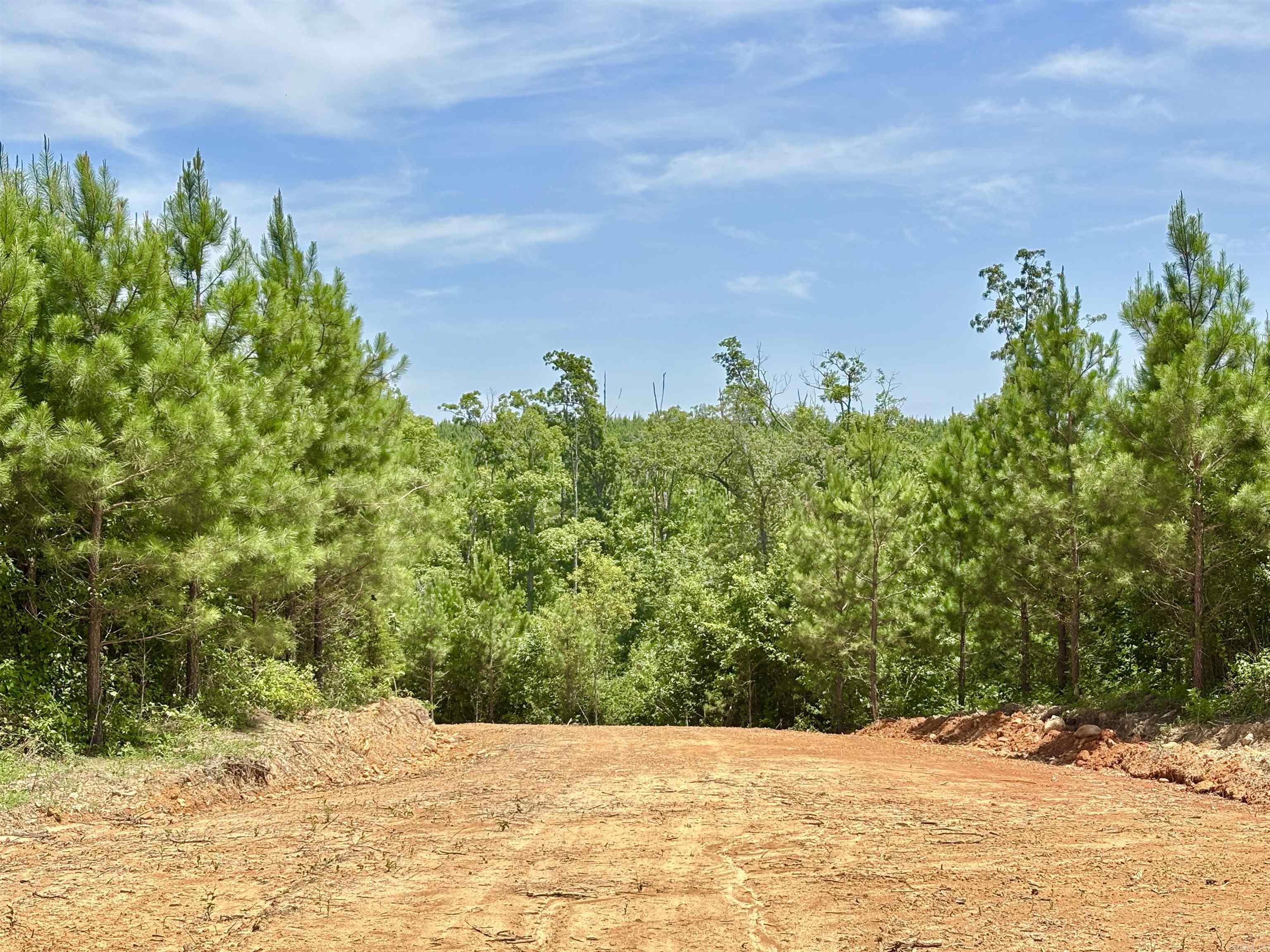 Tract 2B Avalon Lake  Mena, AR