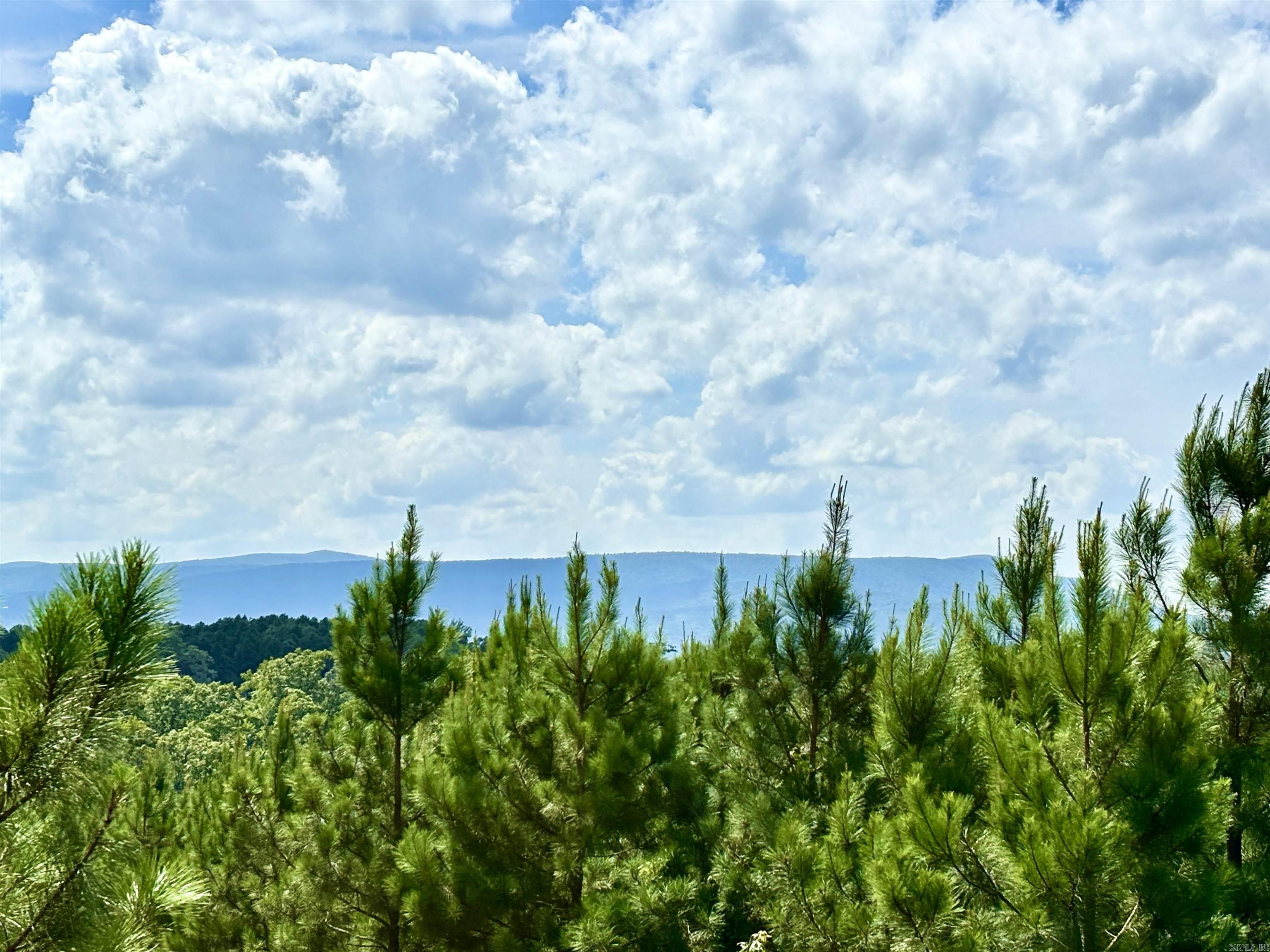 Tract 2B Avalon Lake  Mena, AR