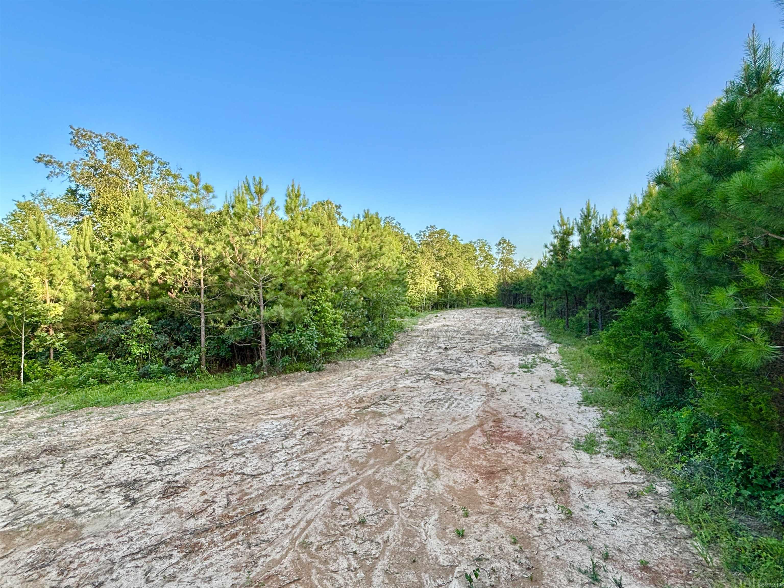 Tract 2C Avalon Lake  Mena, AR