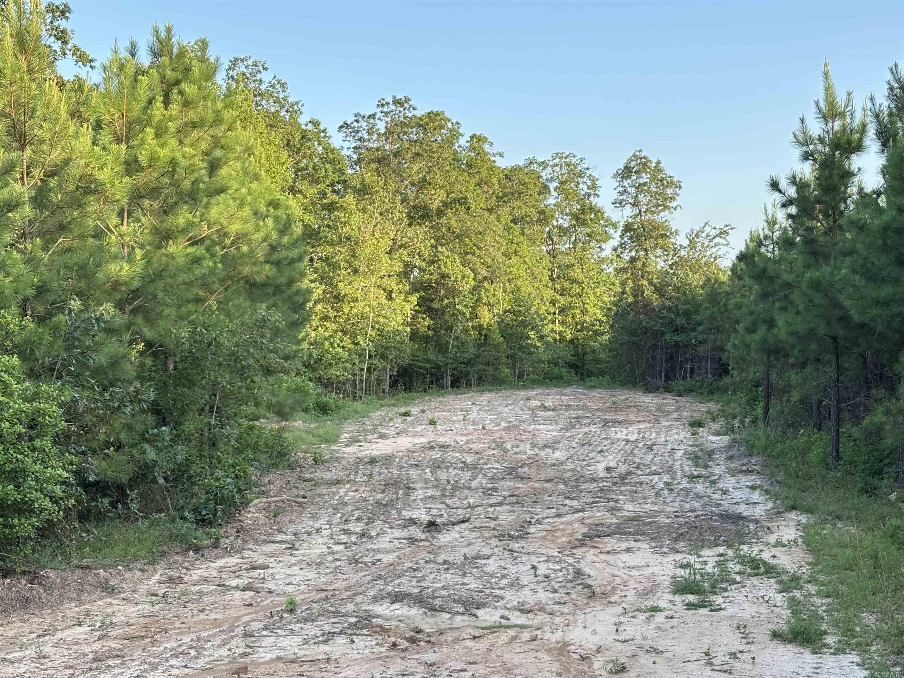 Tract 2C Avalon Lake  Mena, AR