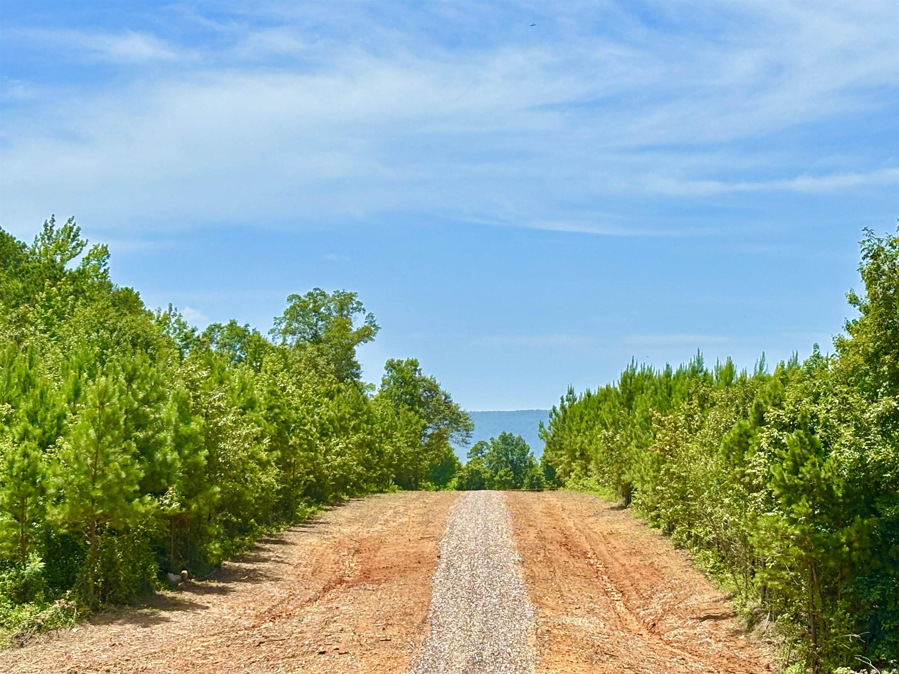 Tract 2A Avalon Lake  Mena, AR