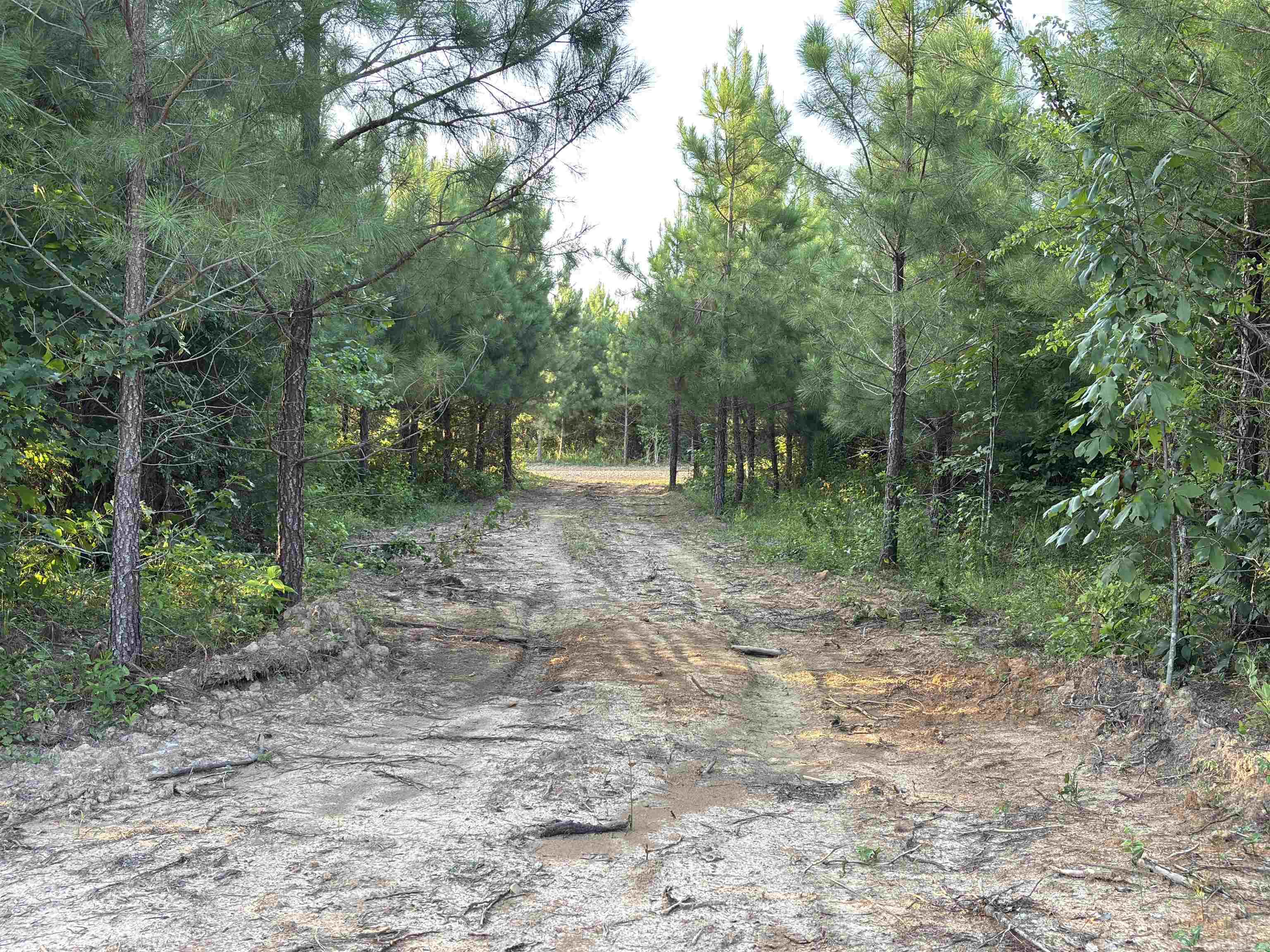 Tract 2A Avalon Lake  Mena, AR