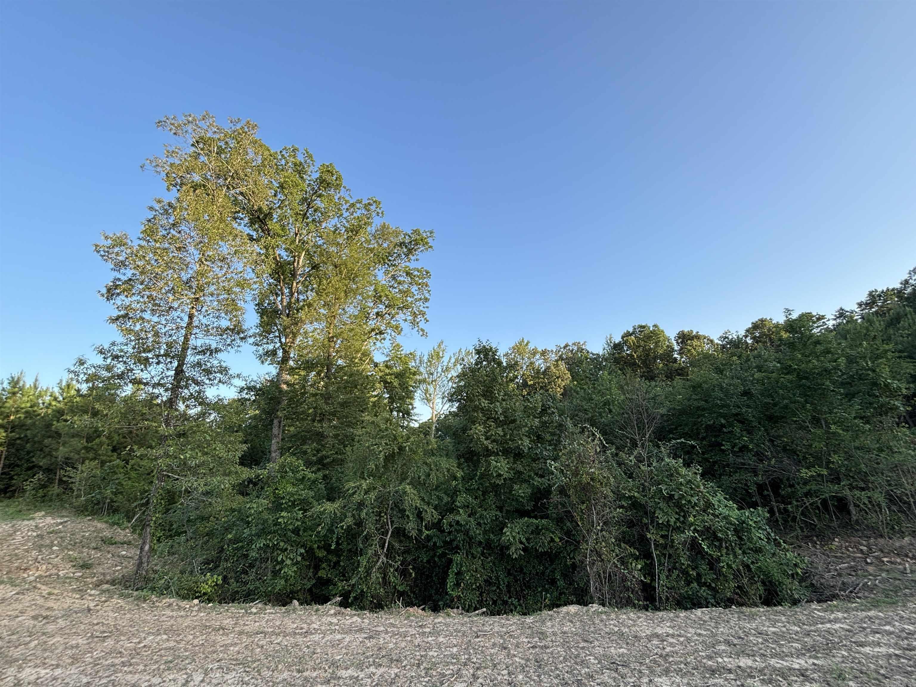 Tract 2A Avalon Lake  Mena, AR