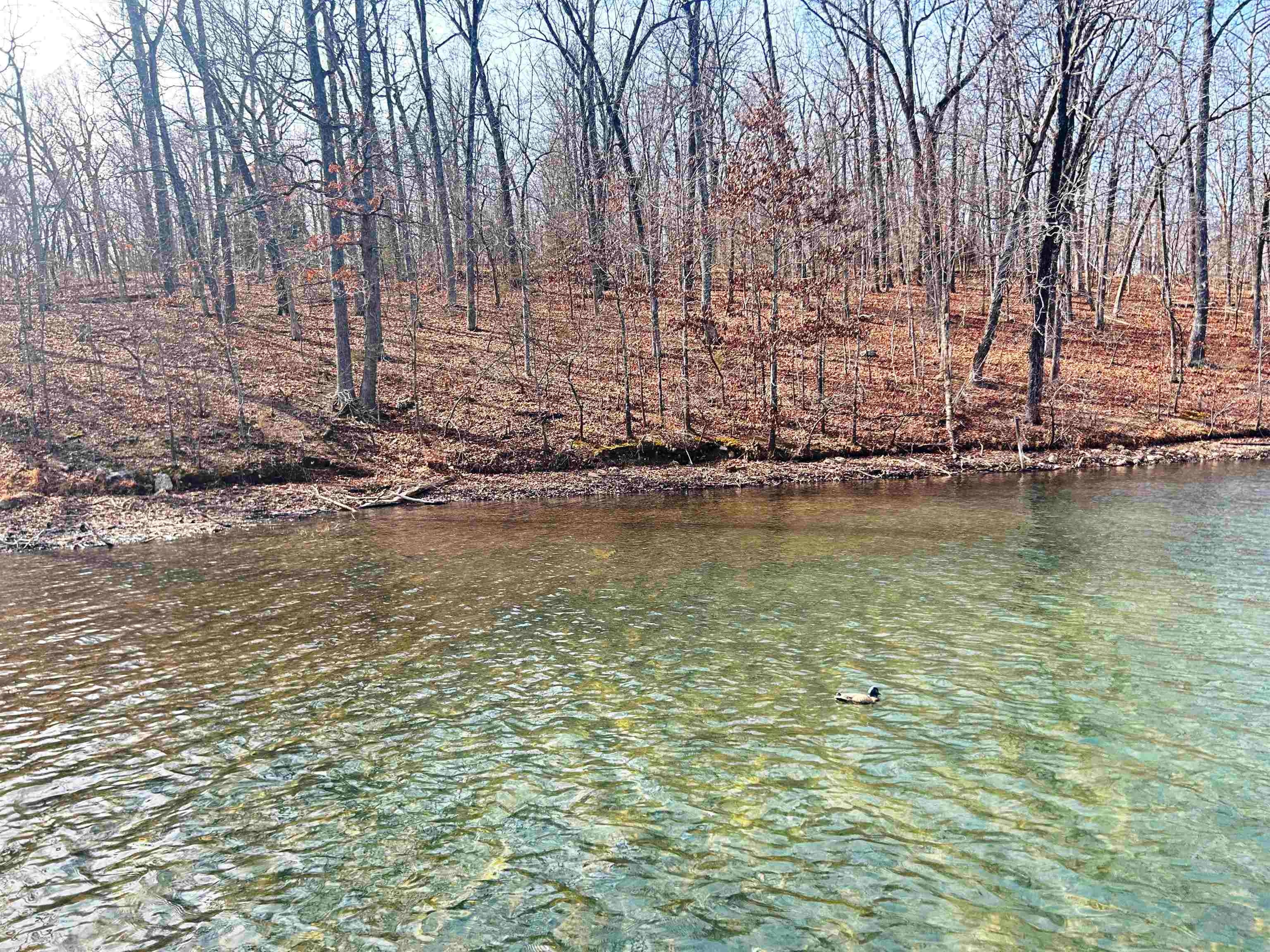 74 Hualapi Drive Cherokee Village, AR 72529