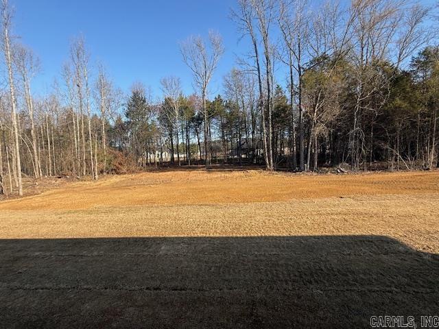 45 Ules Watson Drive Greenbrier, AR 72058