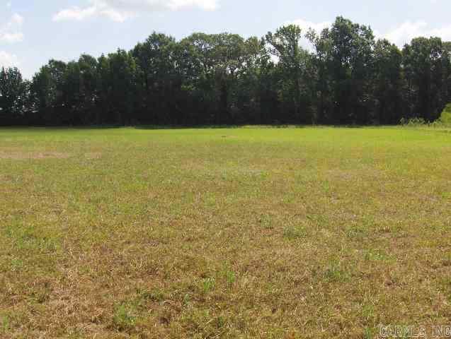 00 Bronnie  Conway, AR