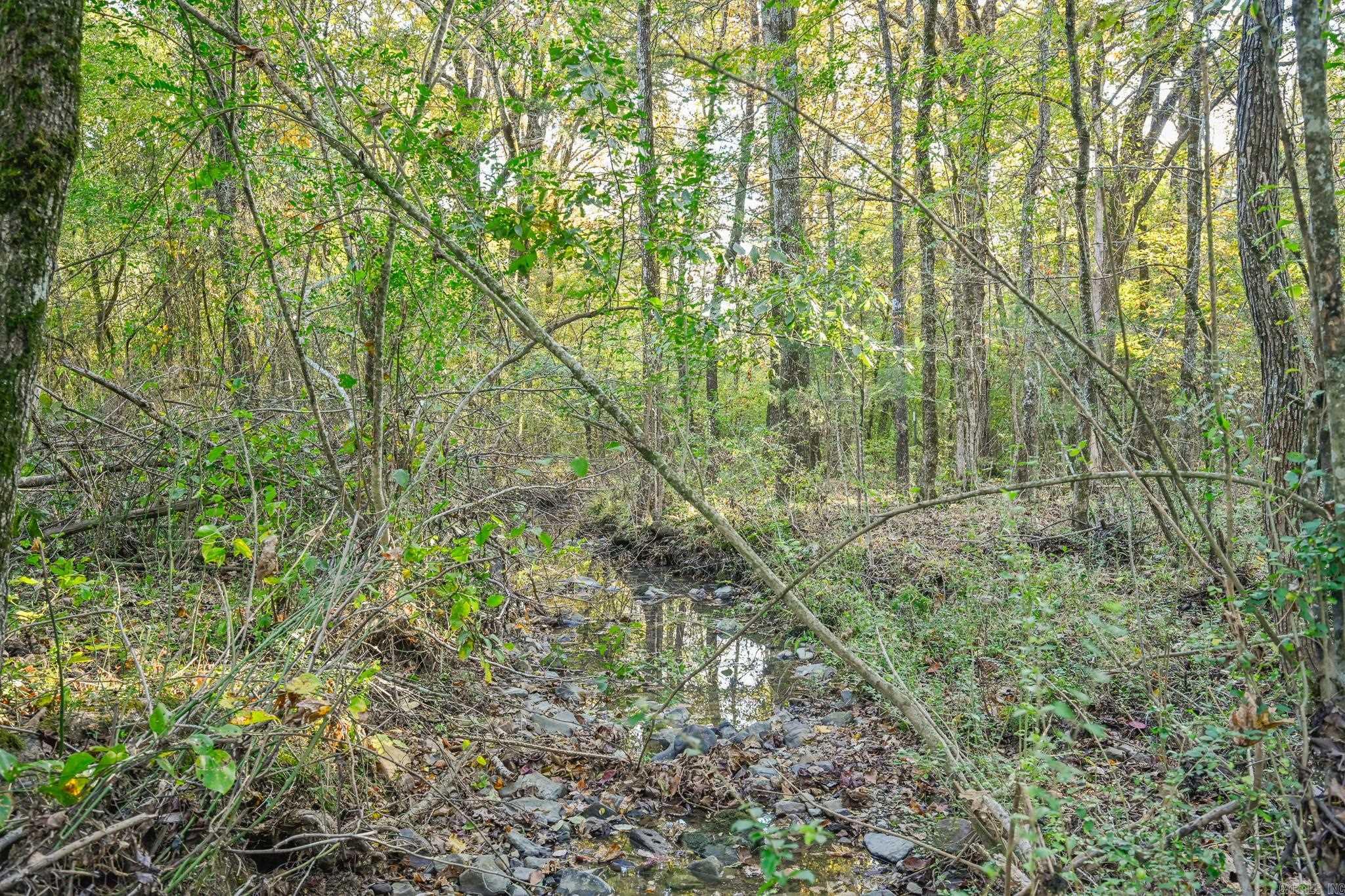 181 Polk Road 47 Mena, AR 71953