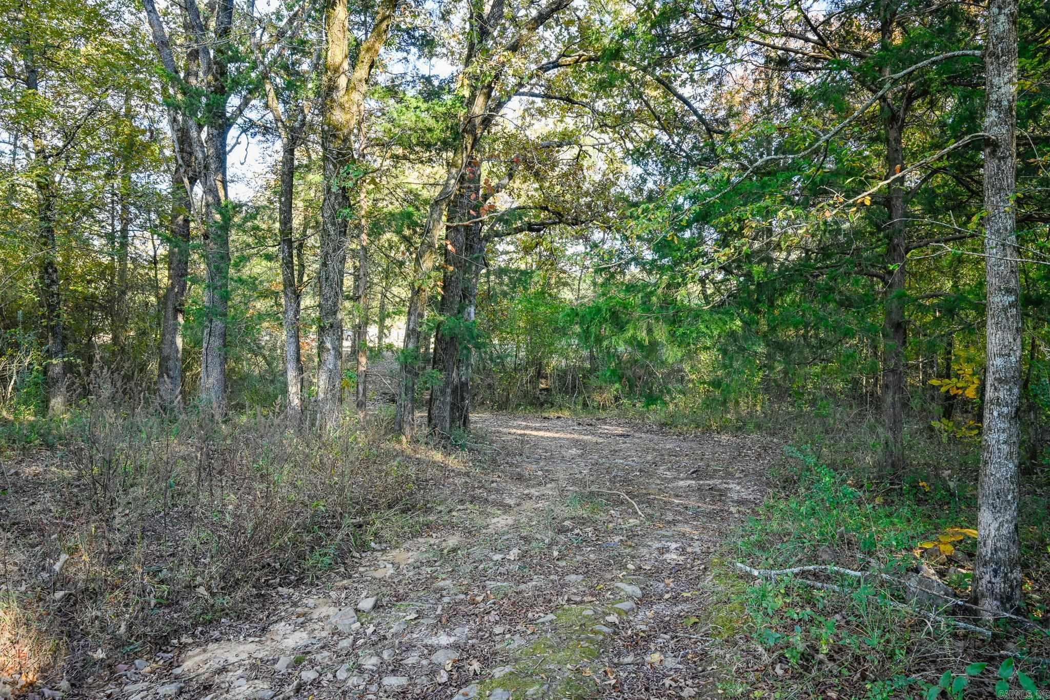 181 Polk Road 47 Mena, AR 71953