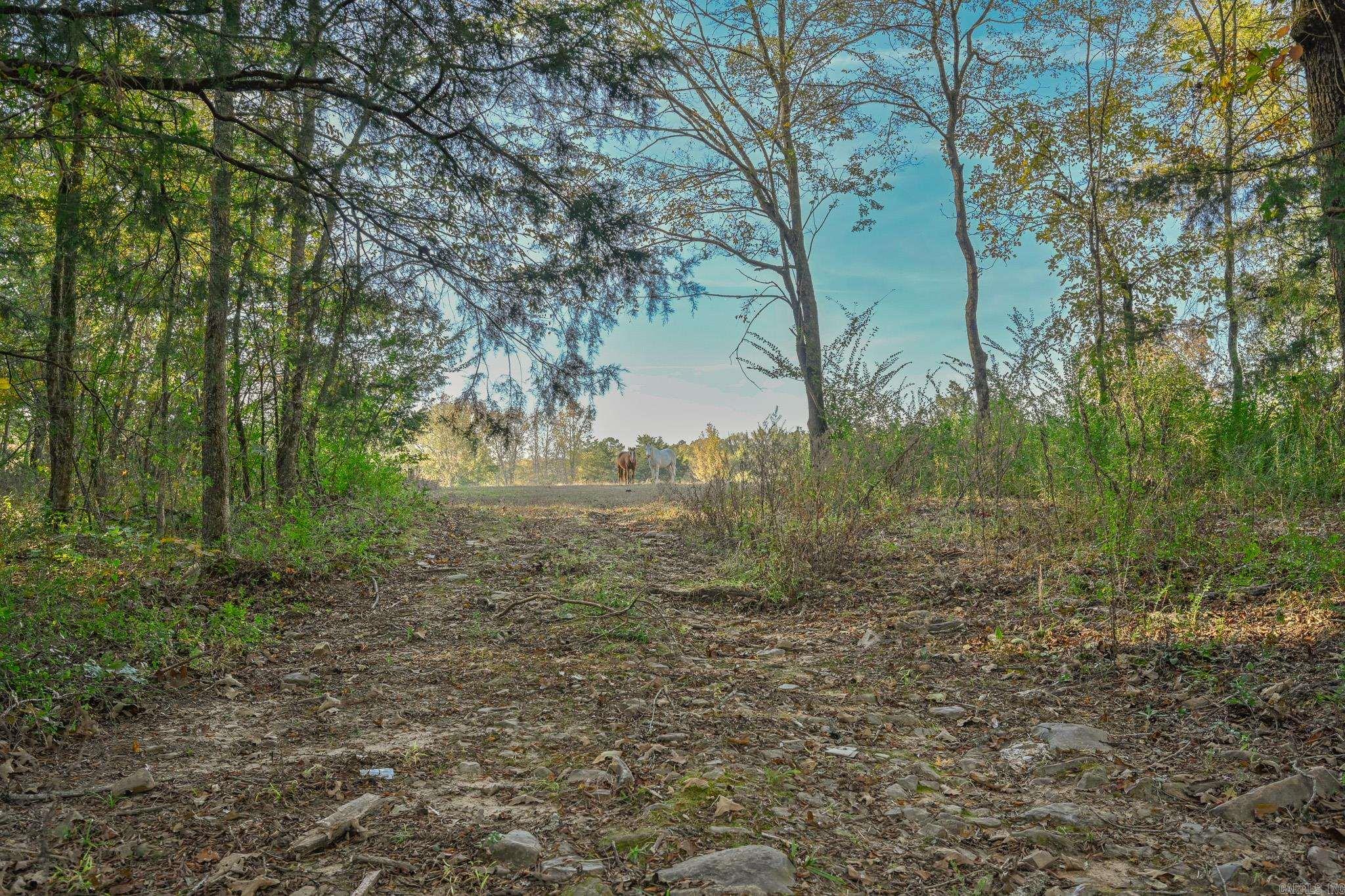 181 Polk Road 47 Mena, AR 71953