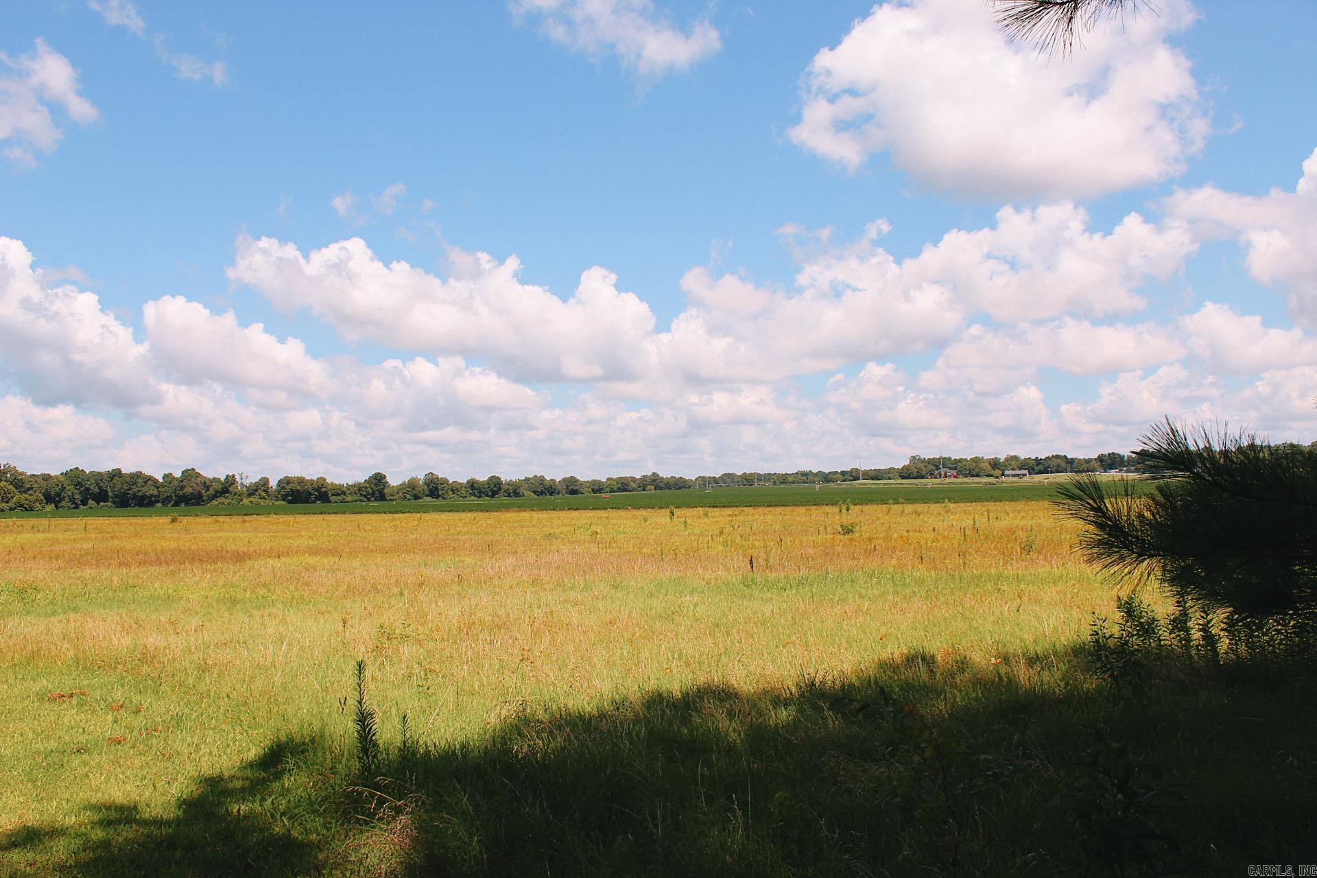 505 Highway 49 Highway Rector, AR 72461