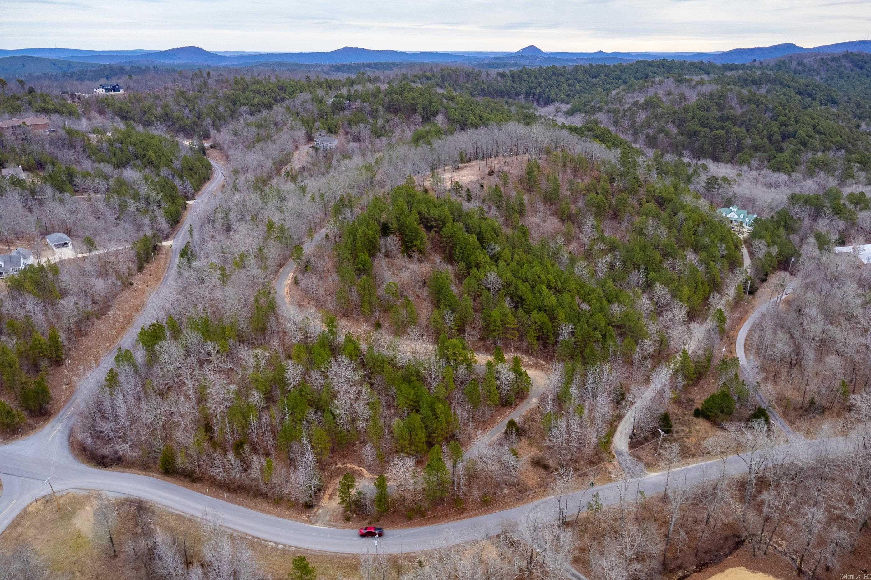 39 Golden Eagle  Paron, AR