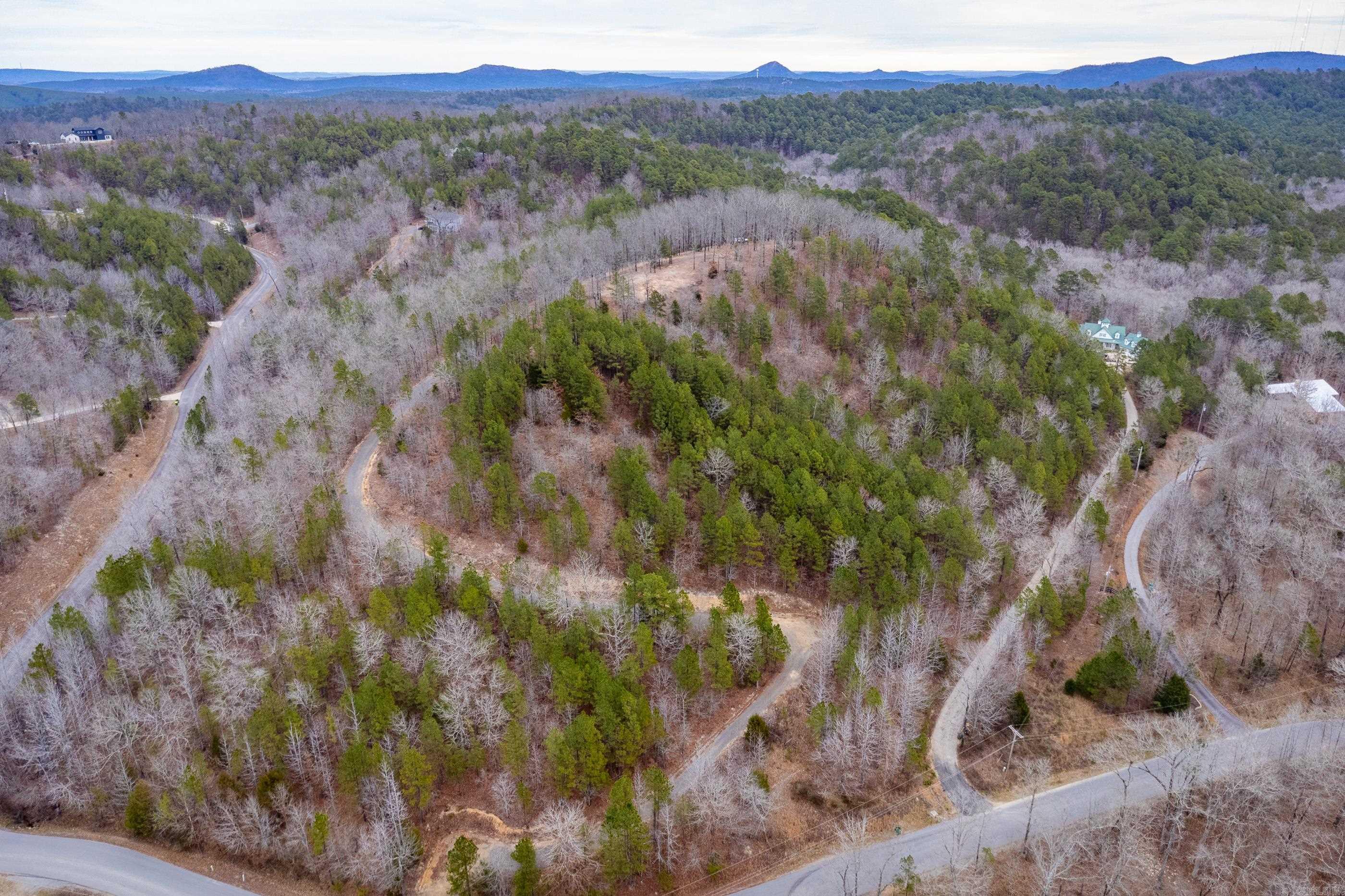 39 Golden Eagle  Paron, AR