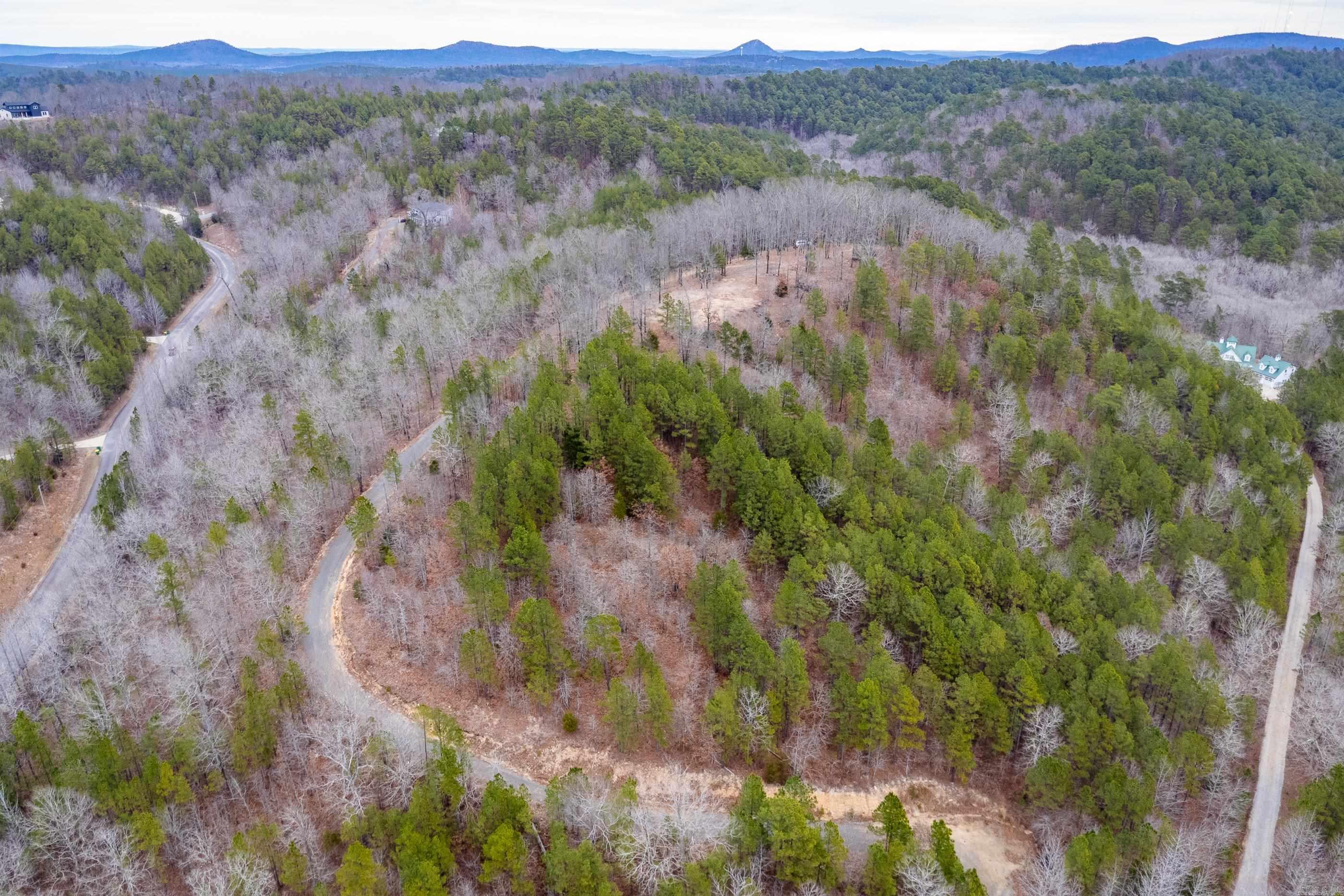 39 Golden Eagle  Paron, AR