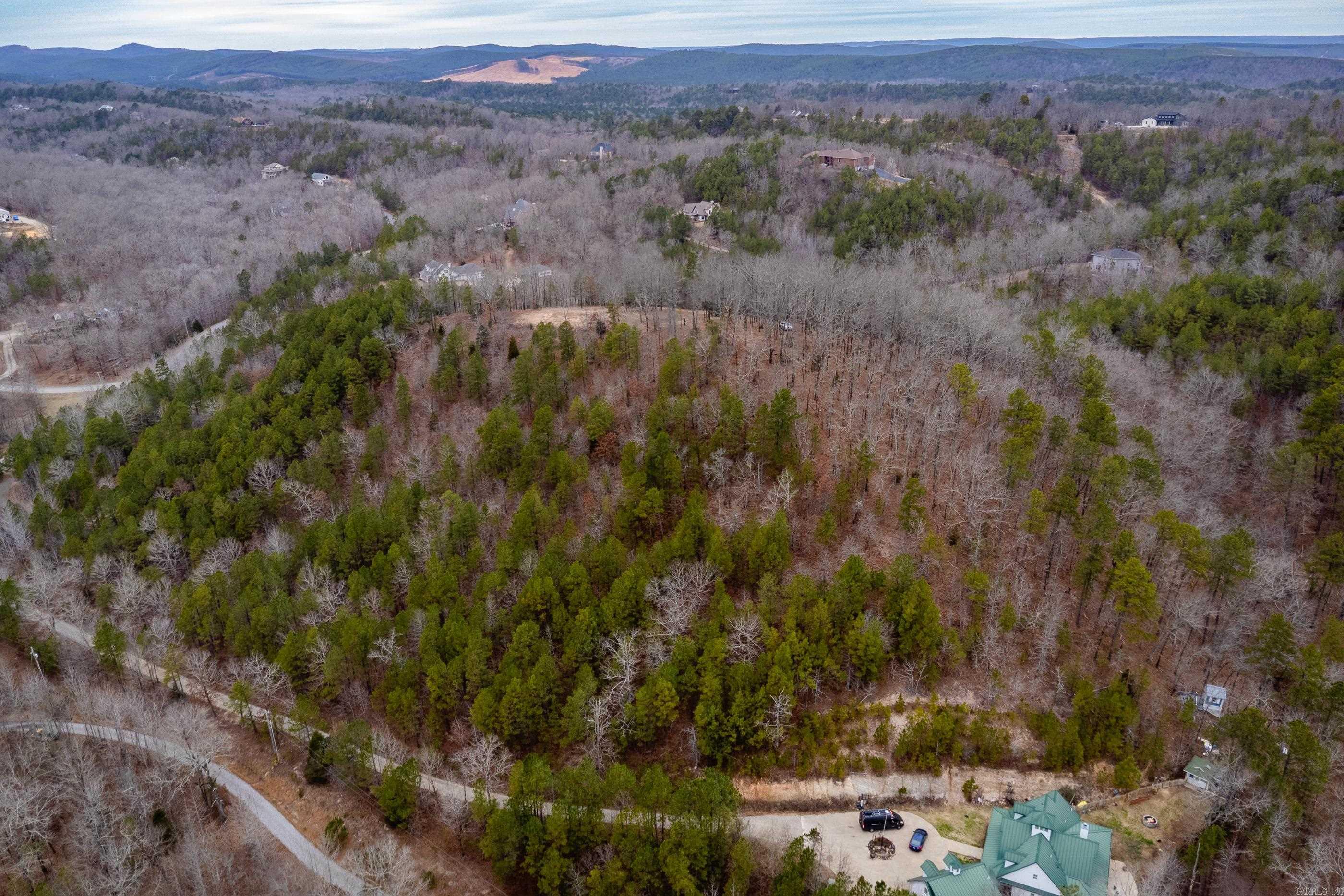 39 Golden Eagle  Paron, AR