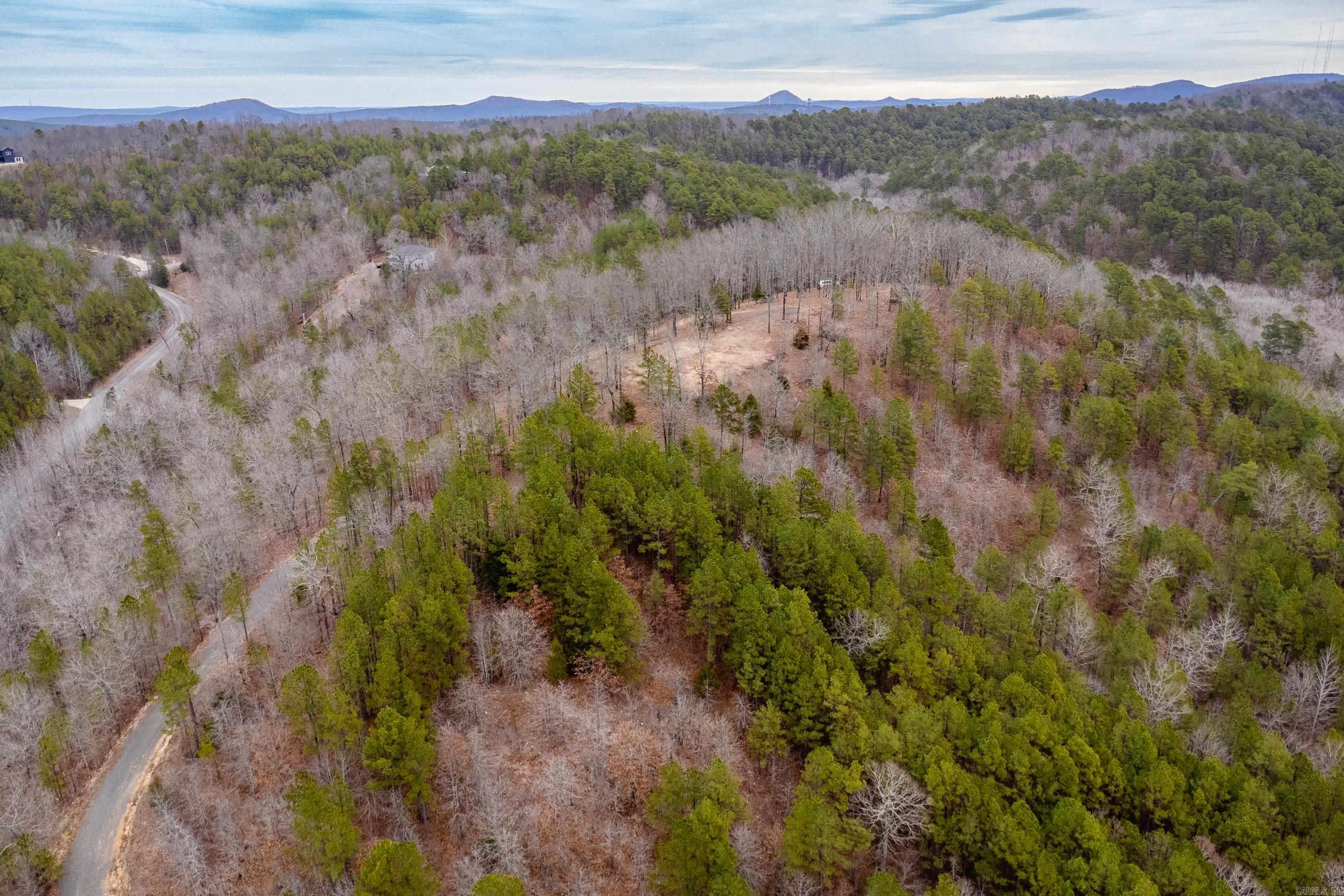 39 Golden Eagle  Paron, AR