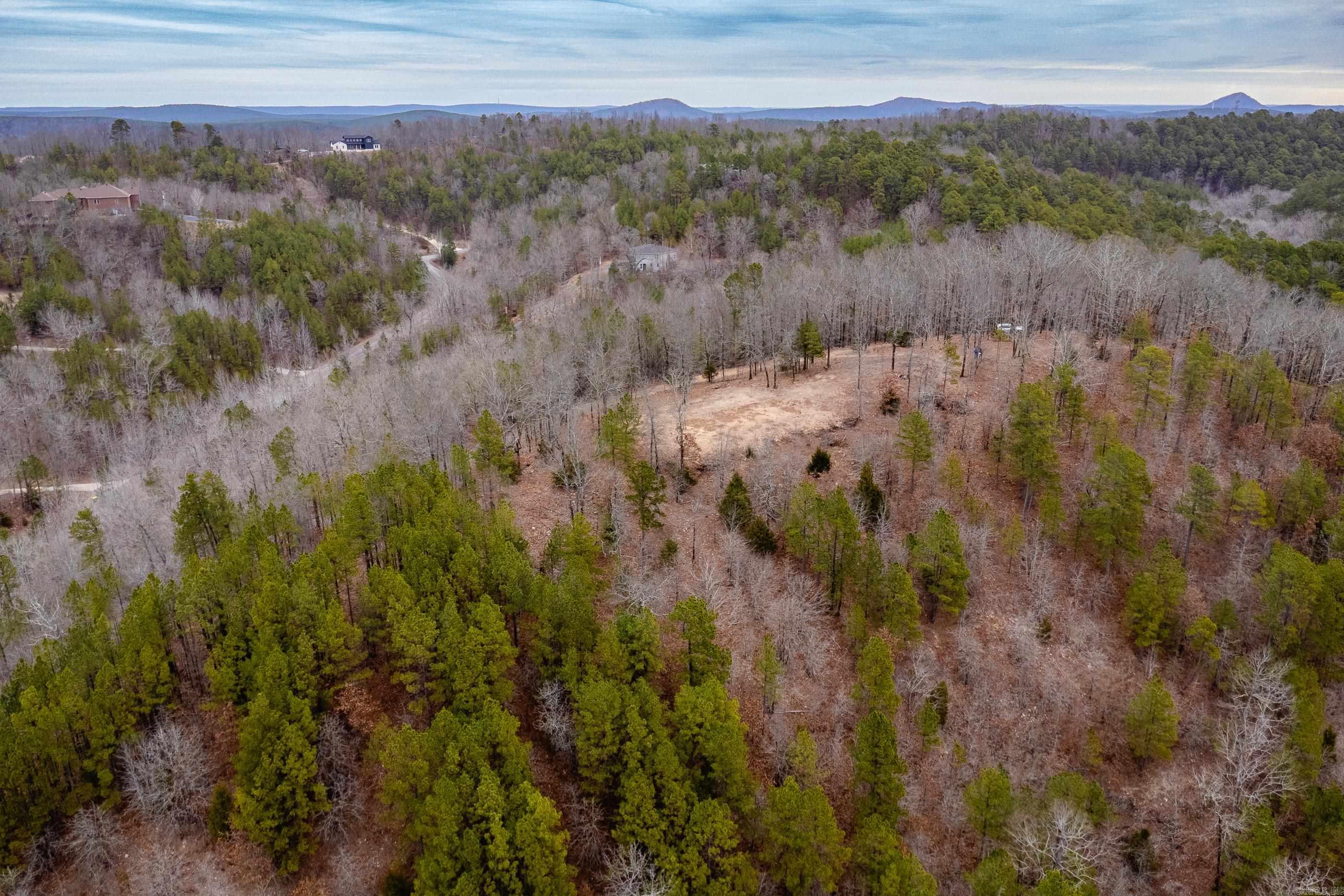 39 Golden Eagle  Paron, AR