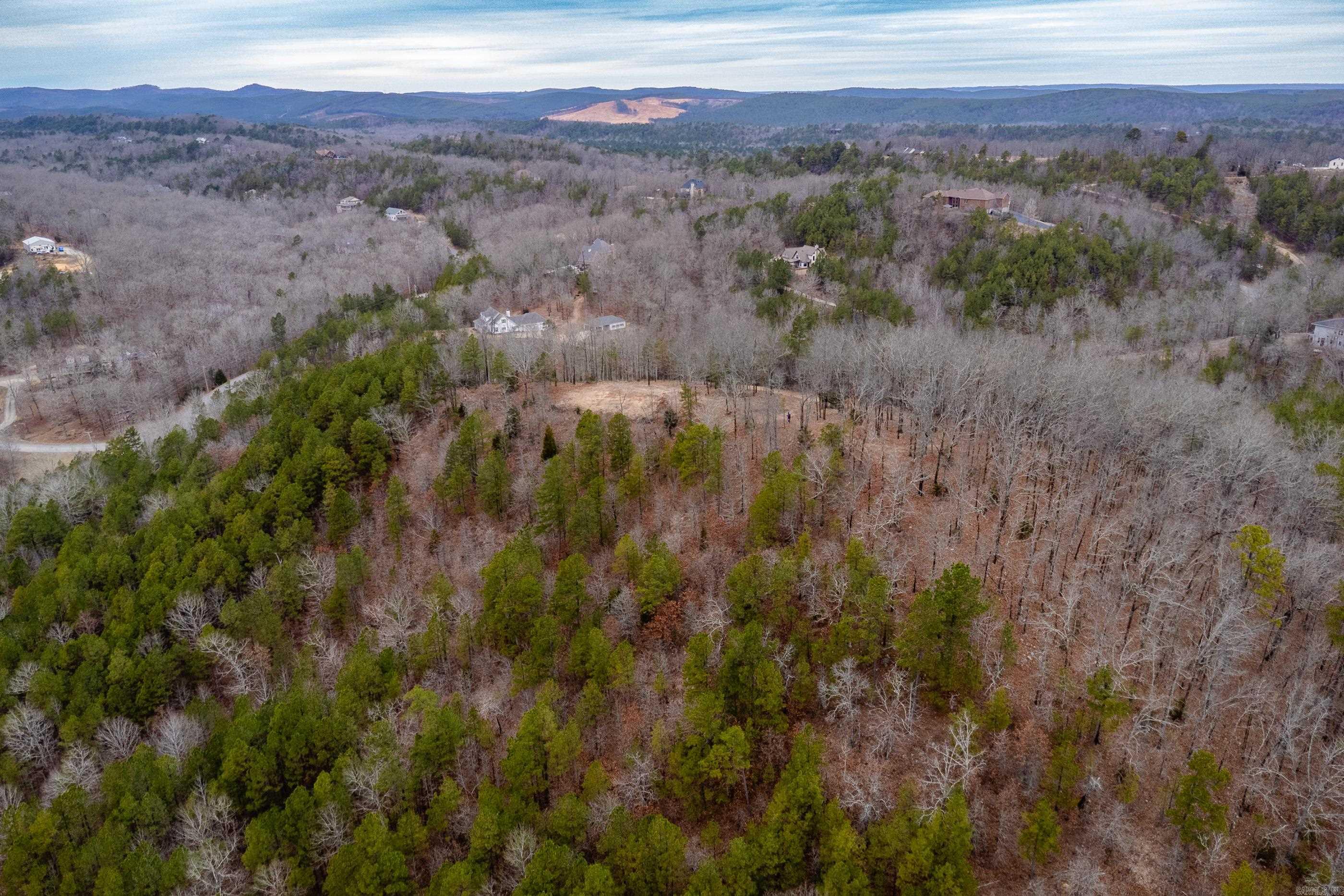 39 Golden Eagle  Paron, AR