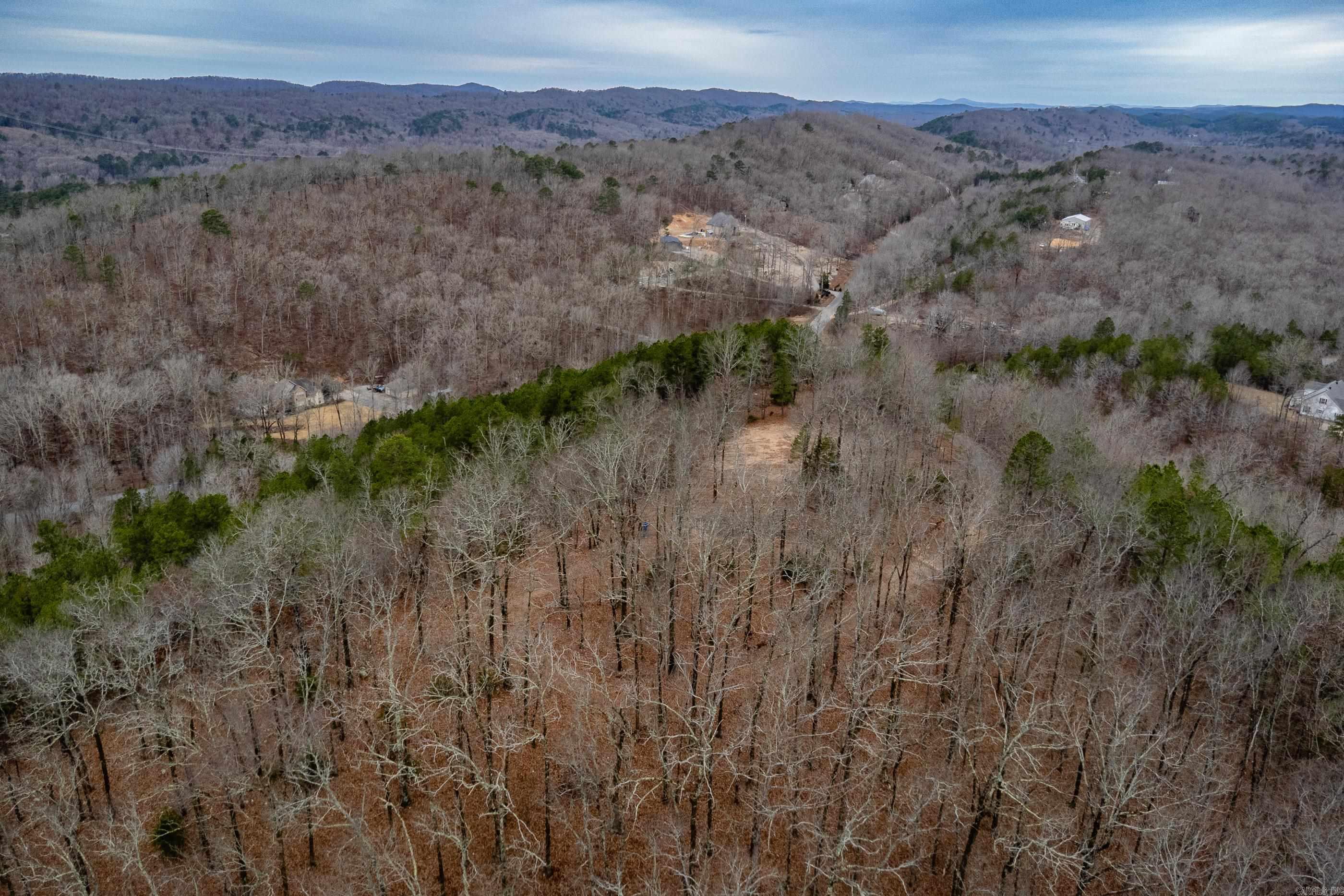 39 Golden Eagle  Paron, AR