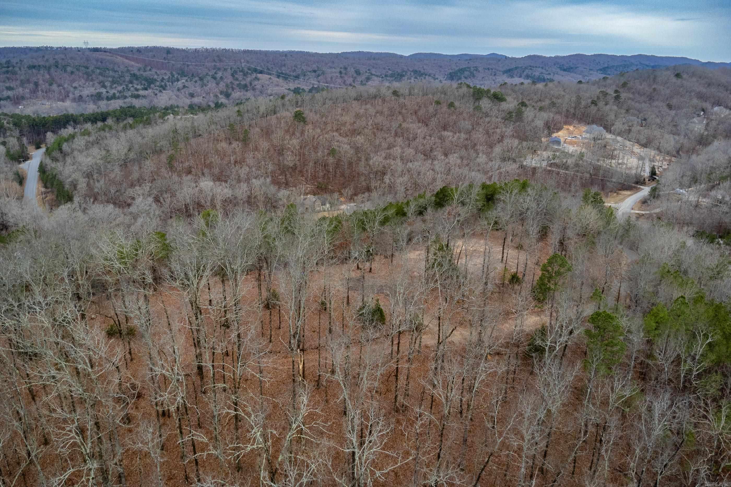 39 Golden Eagle  Paron, AR