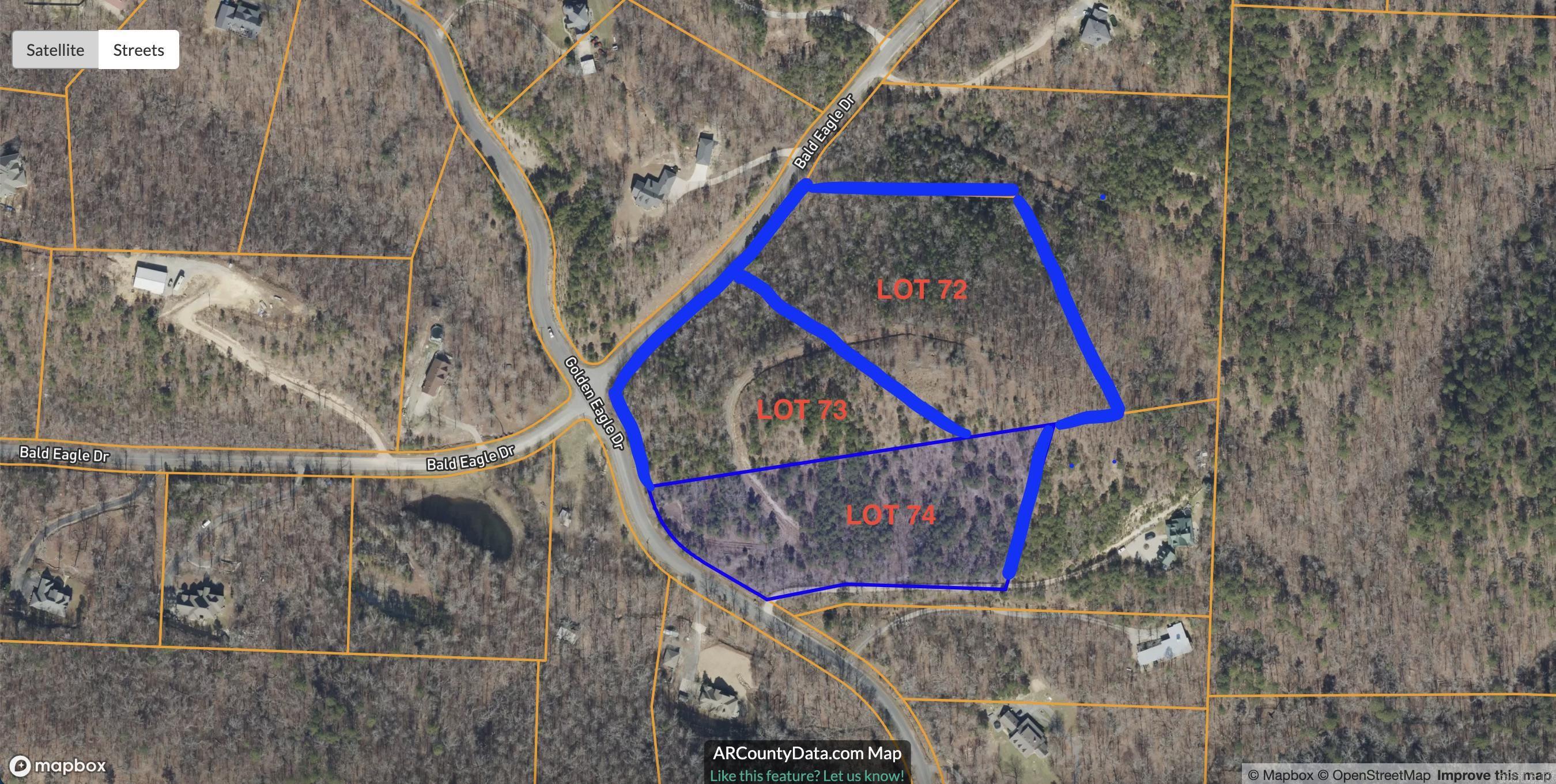 39 Golden Eagle  Paron, AR