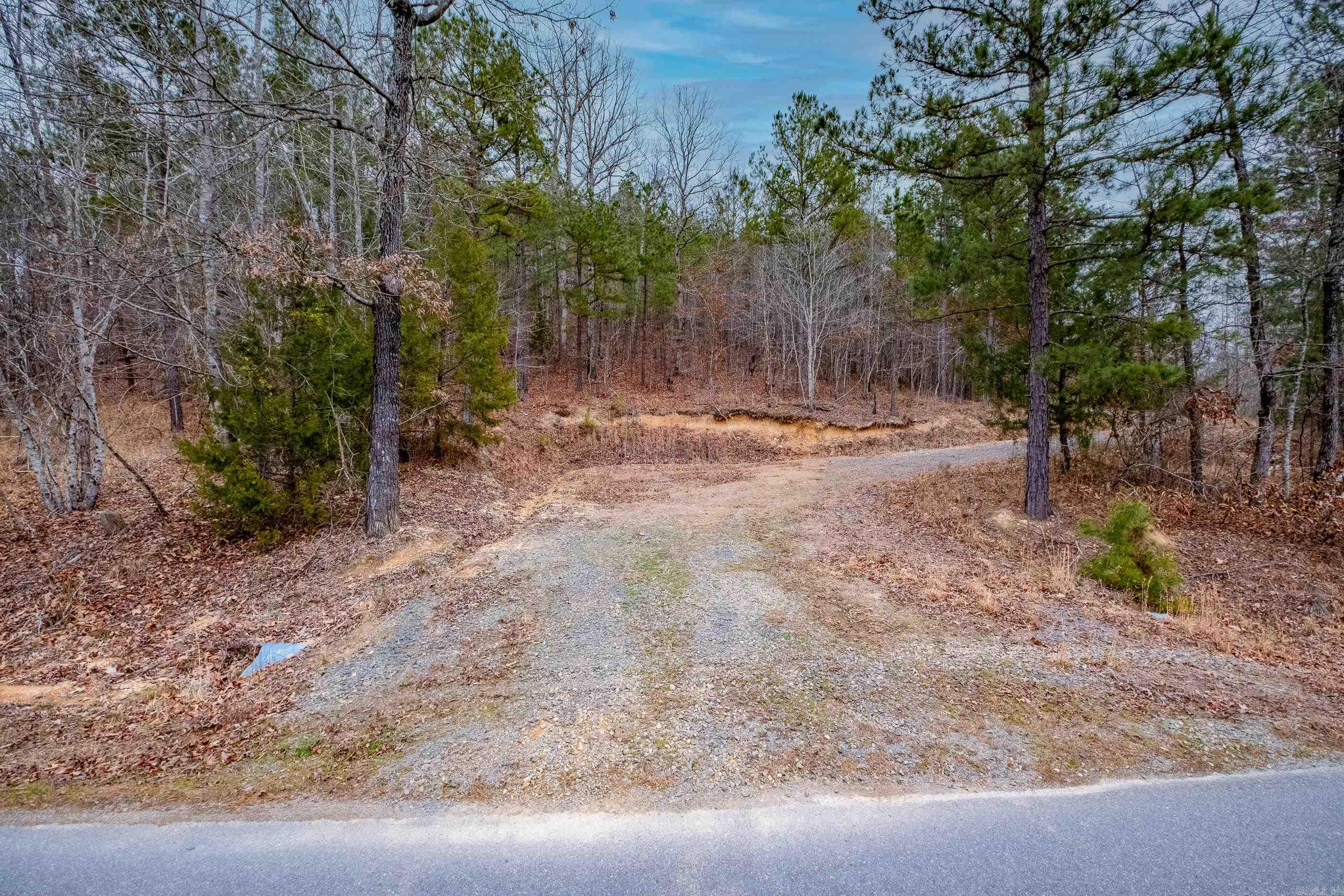 39 Golden Eagle  Paron, AR