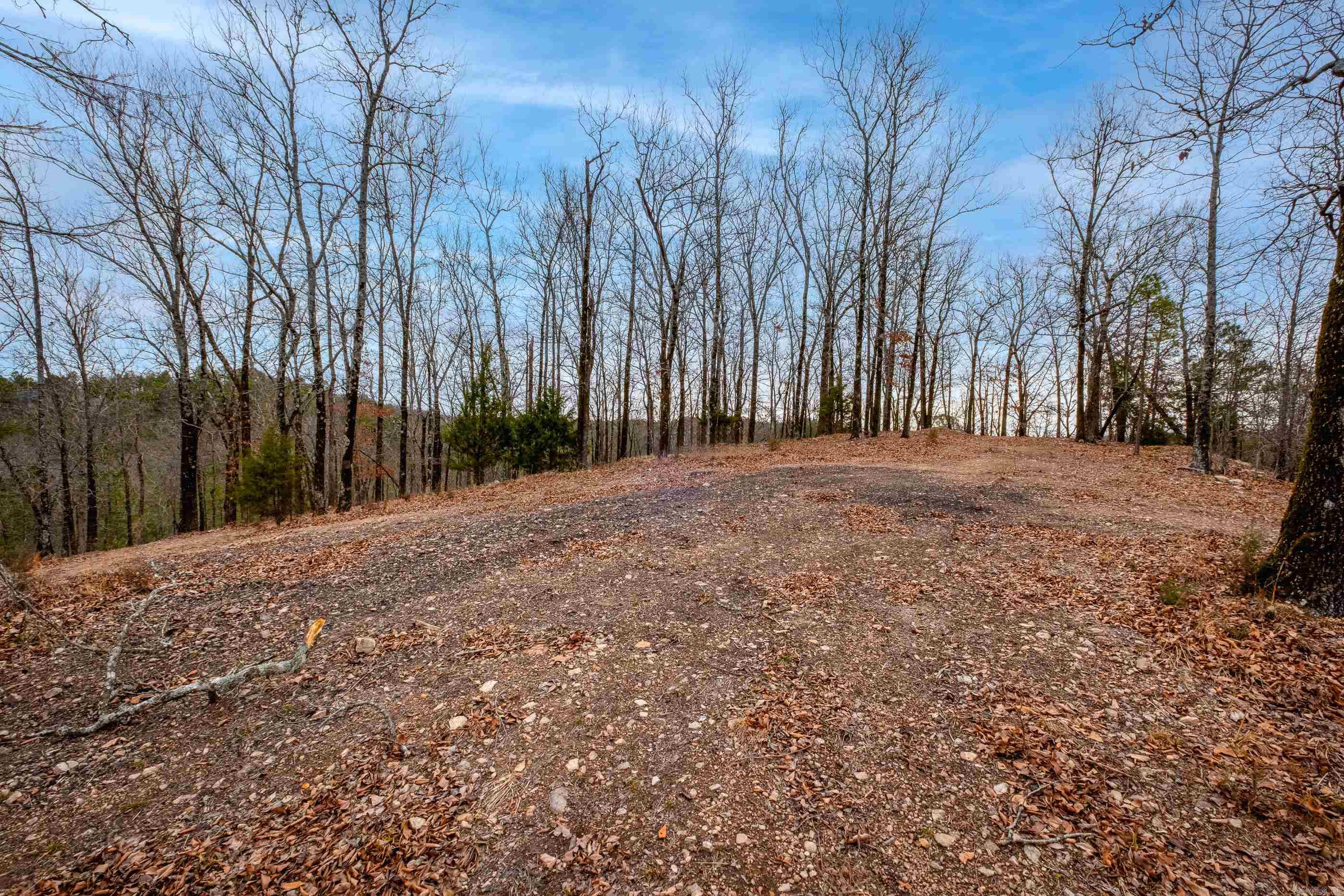 39 Golden Eagle  Paron, AR